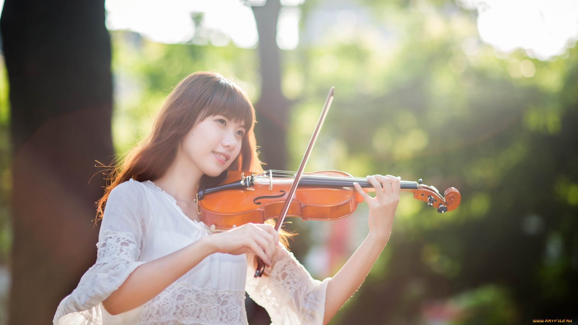 музыка, -другое, девушка, взгляд, скрипка, растения, природа