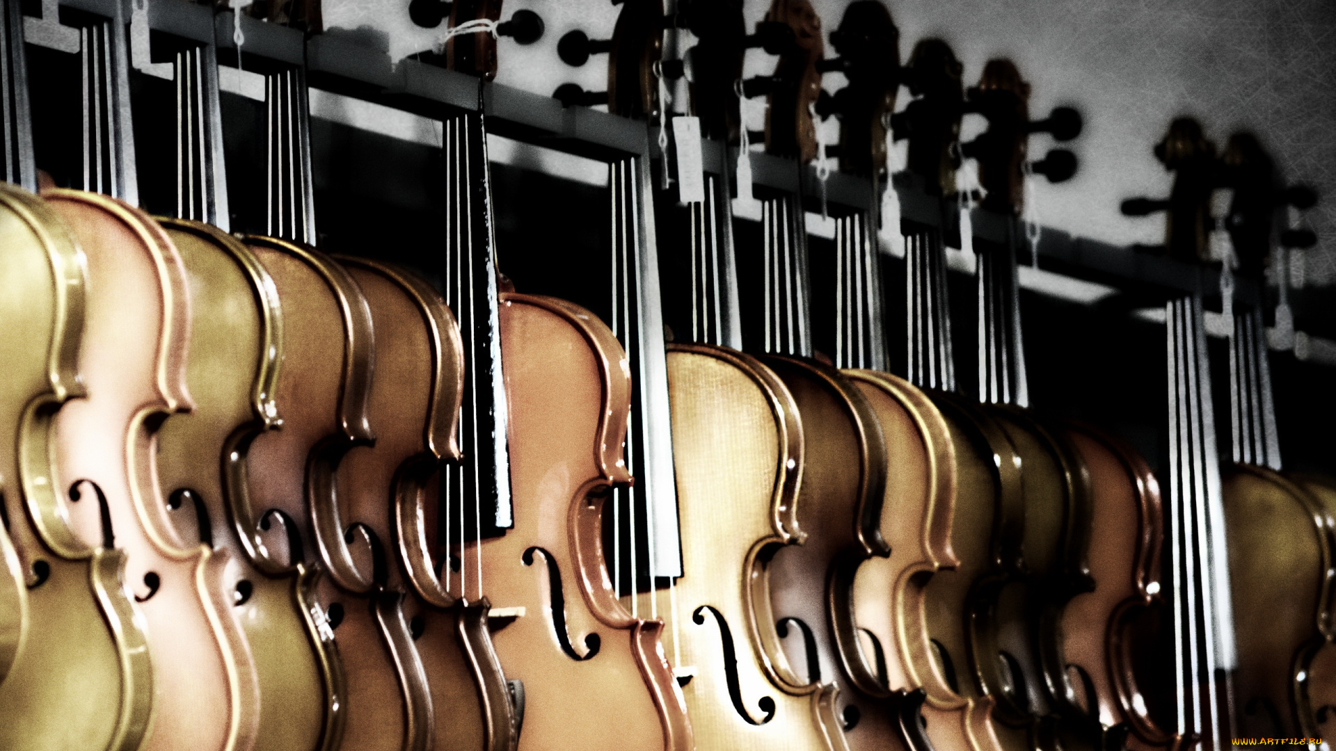 музыка, -музыкальные, инструменты, скрипка
