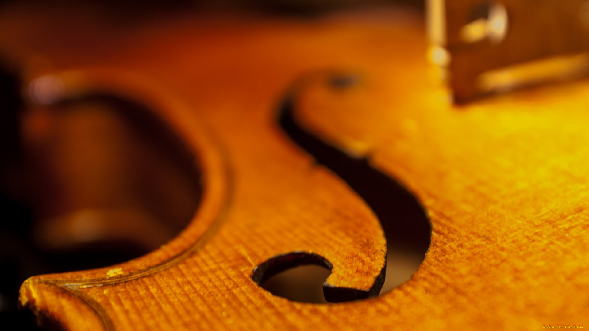 музыка, -музыкальные, инструменты, скрипка, дека