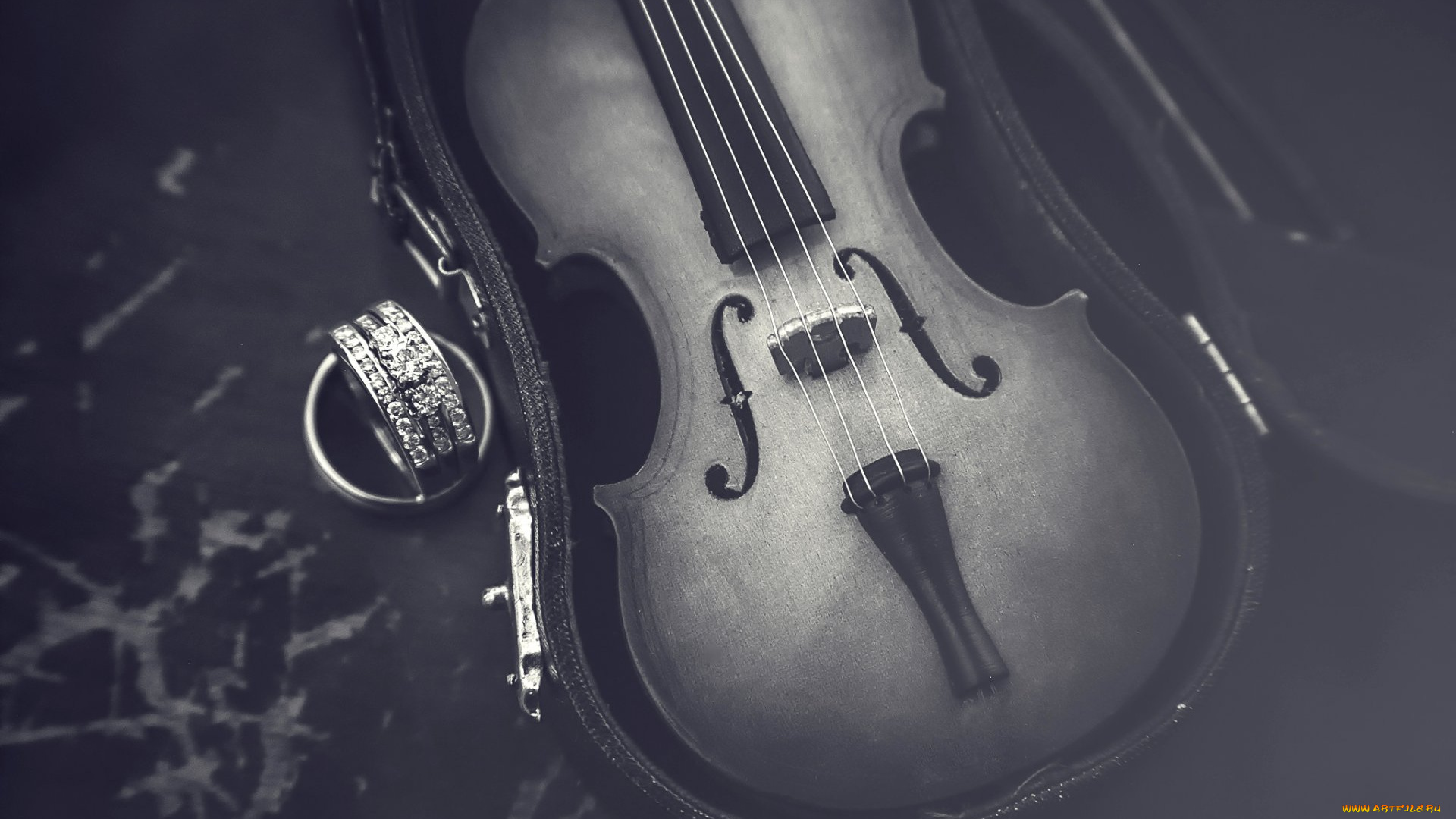 музыка, -музыкальные, инструменты, скрипка, футляр, черно, белое