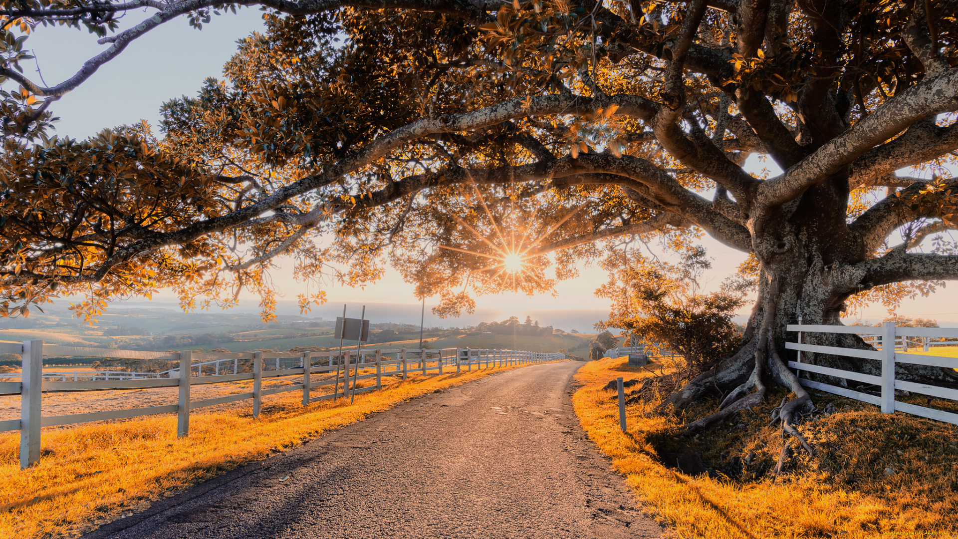 природа, дороги, простор