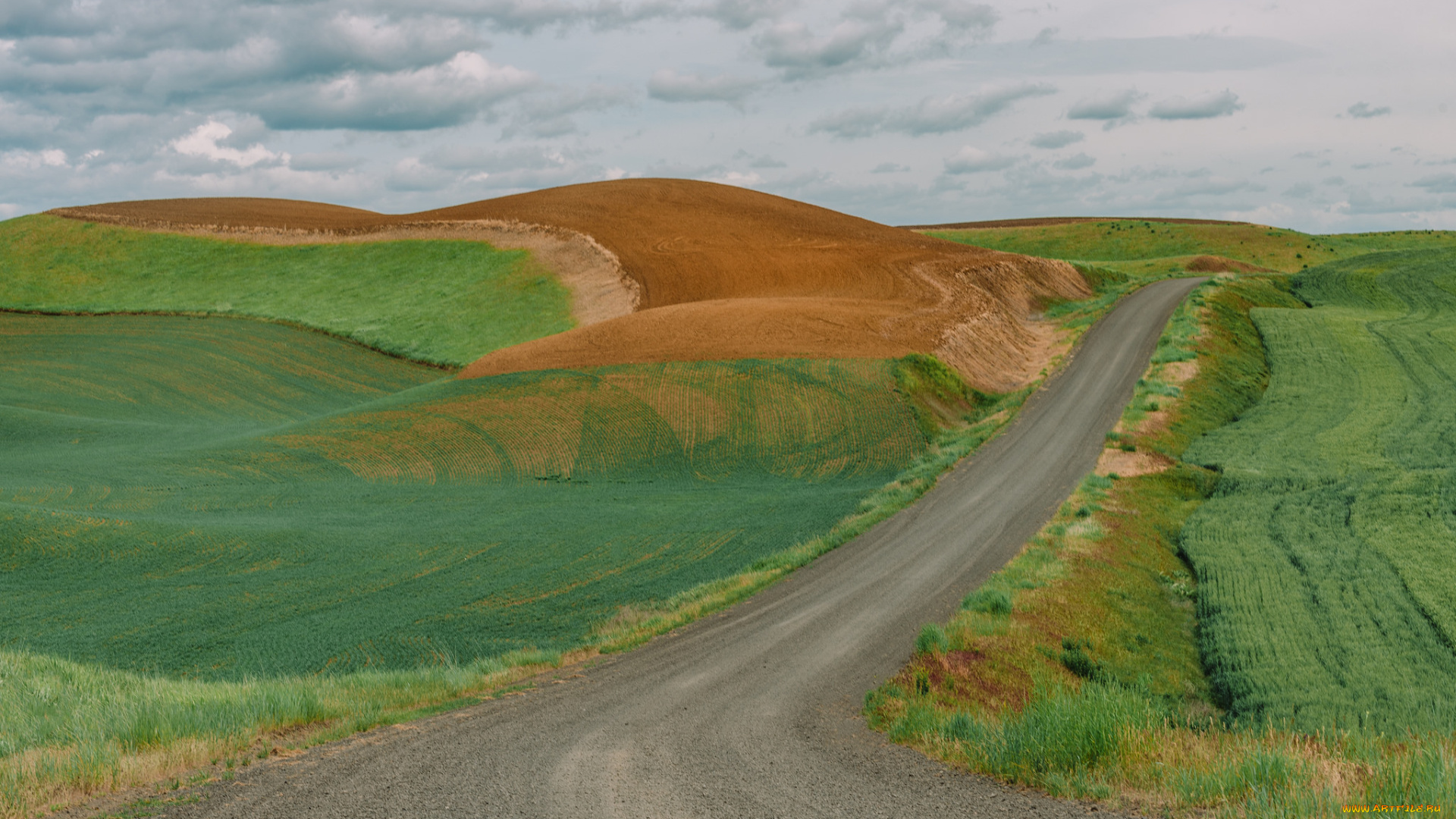 природа, дороги, простор