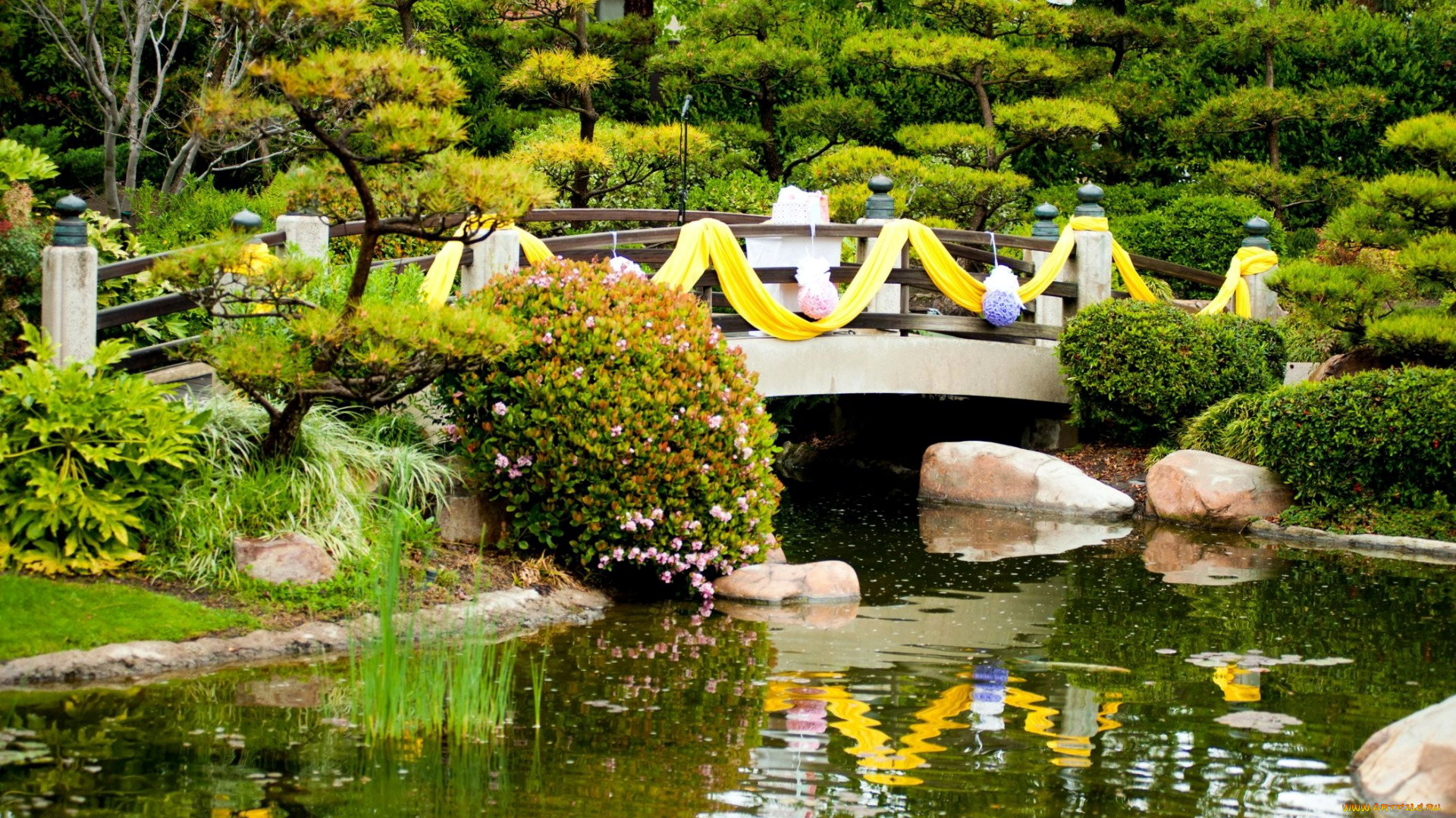 природа, парк, водоем, мостик