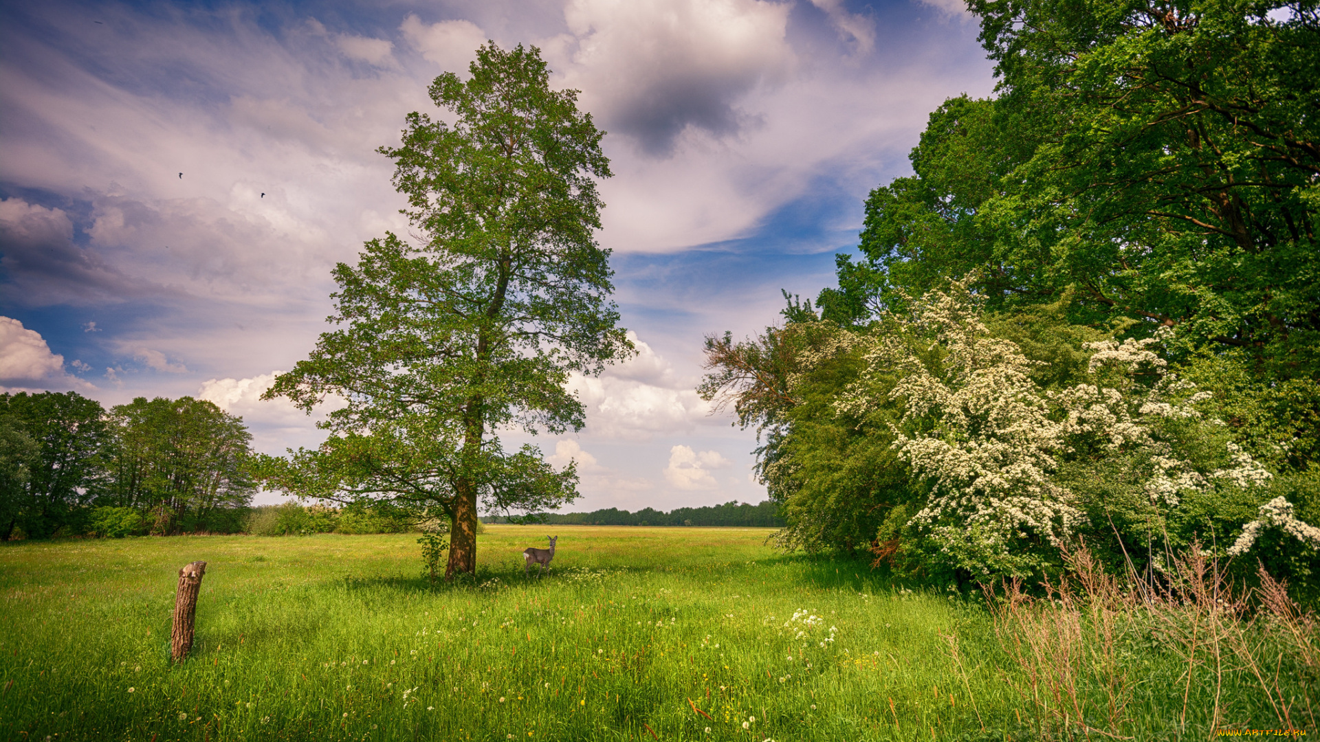 природа, пейзажи, простор
