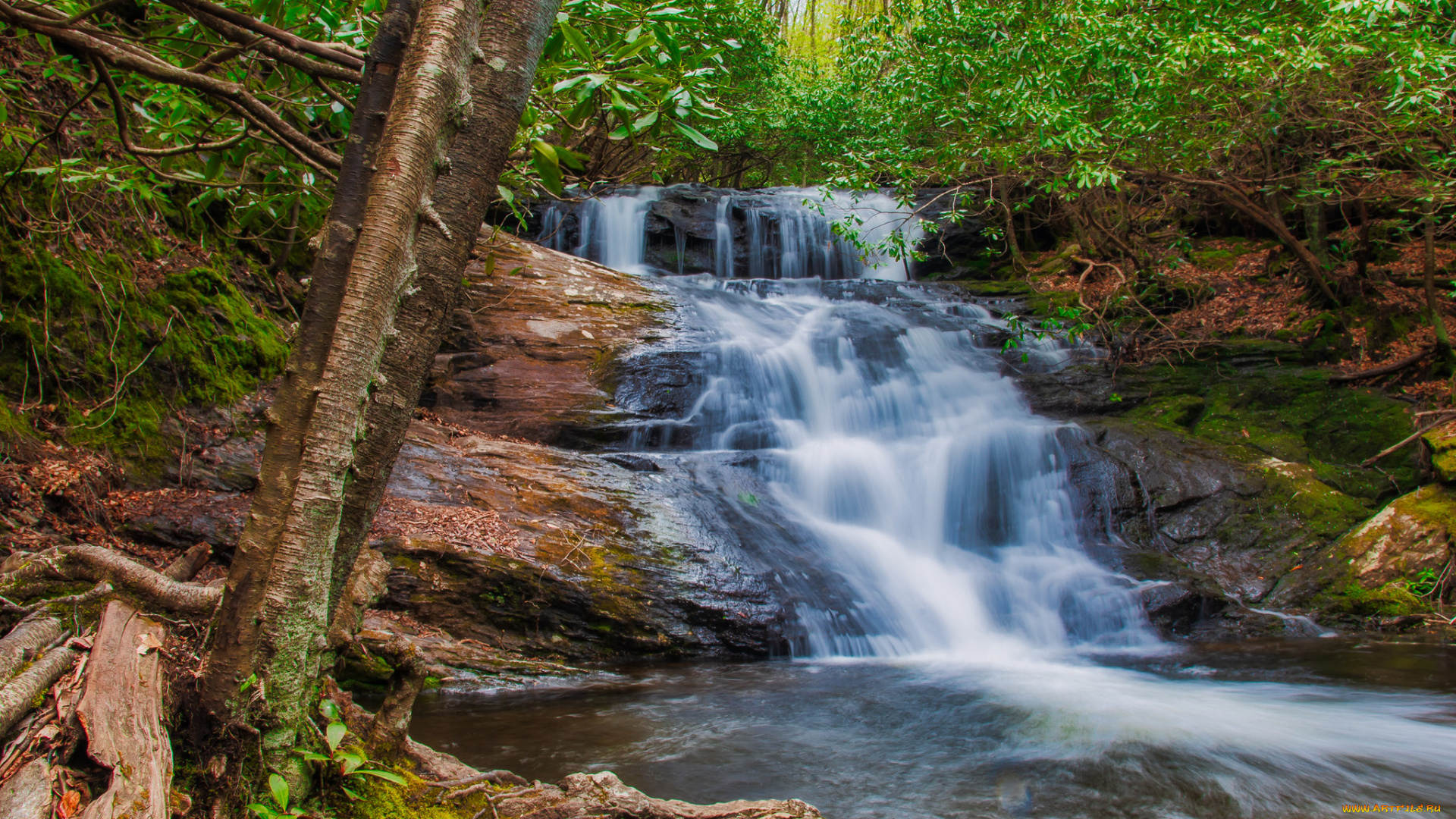 природа, реки, озера, простор