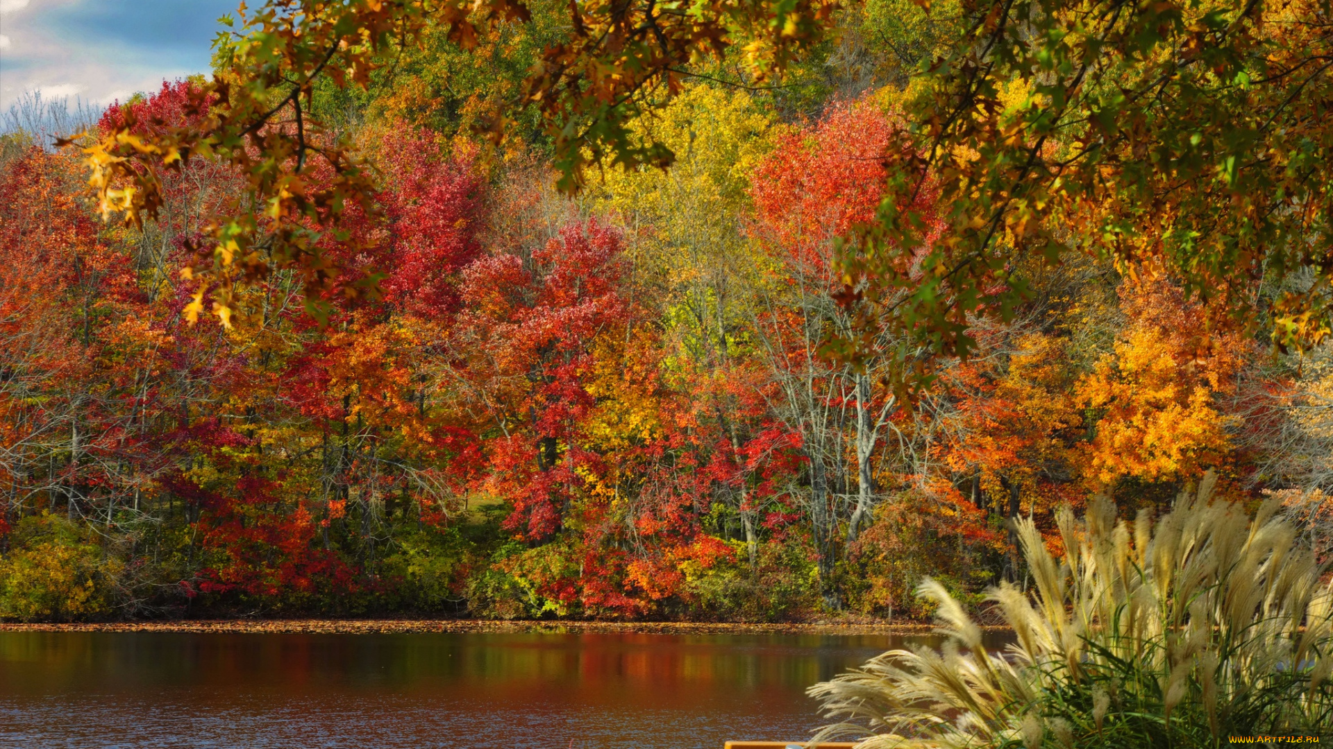 природа, реки, озера, река, осень