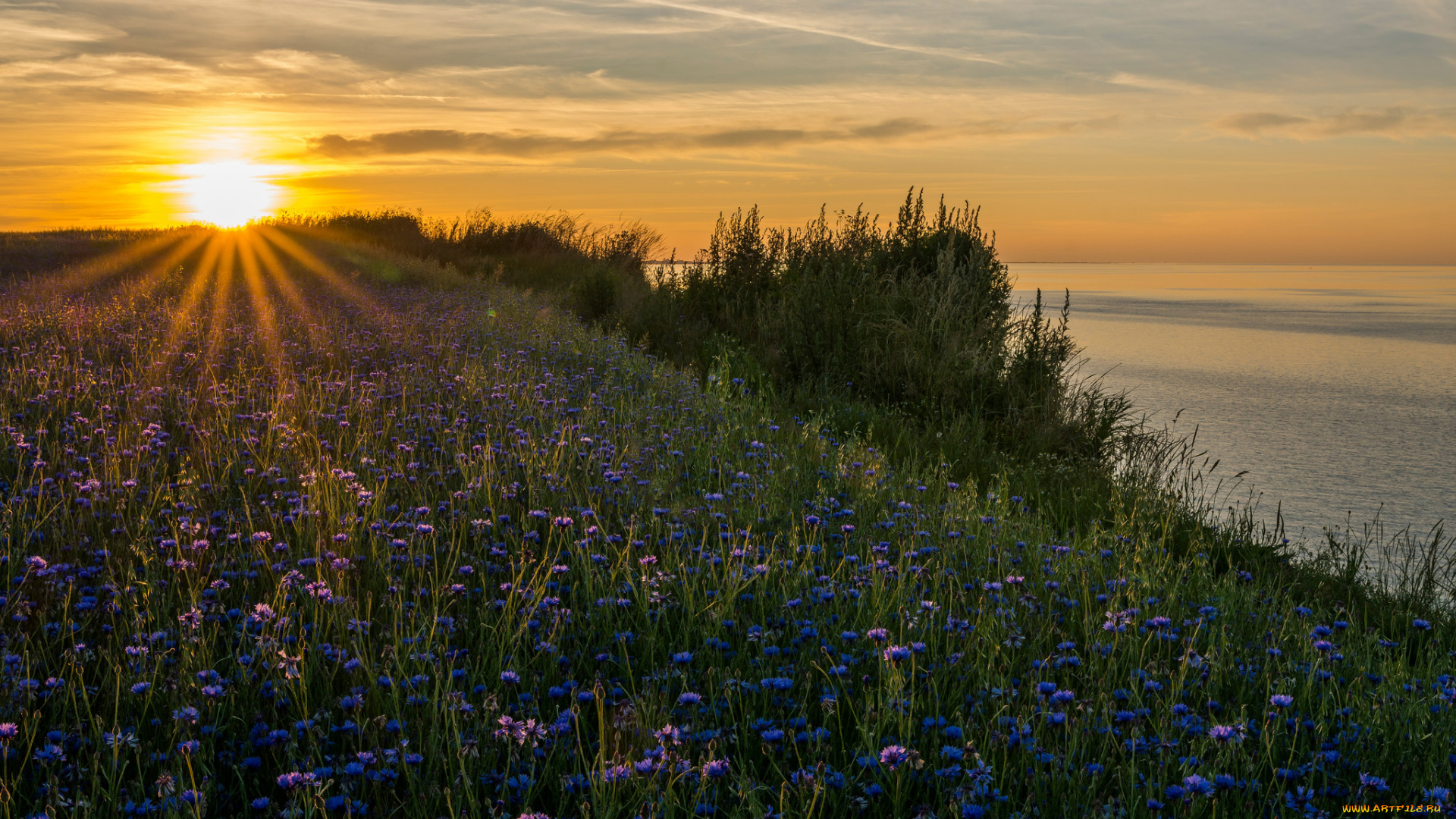 природа, восходы, закаты, простор