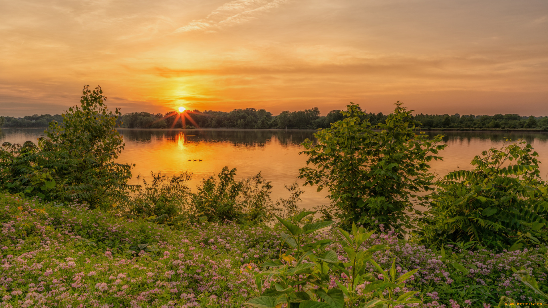 природа, восходы, закаты, простор
