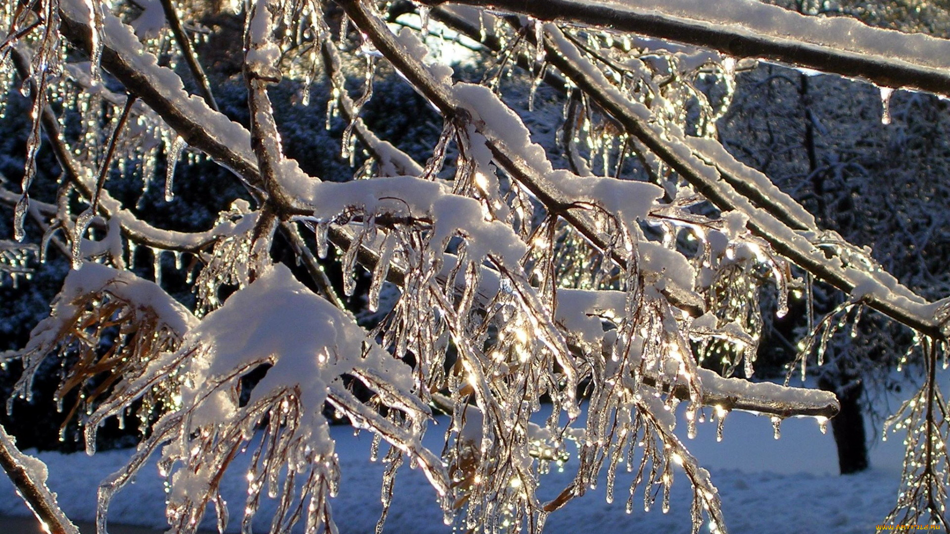 природа, зима, снег