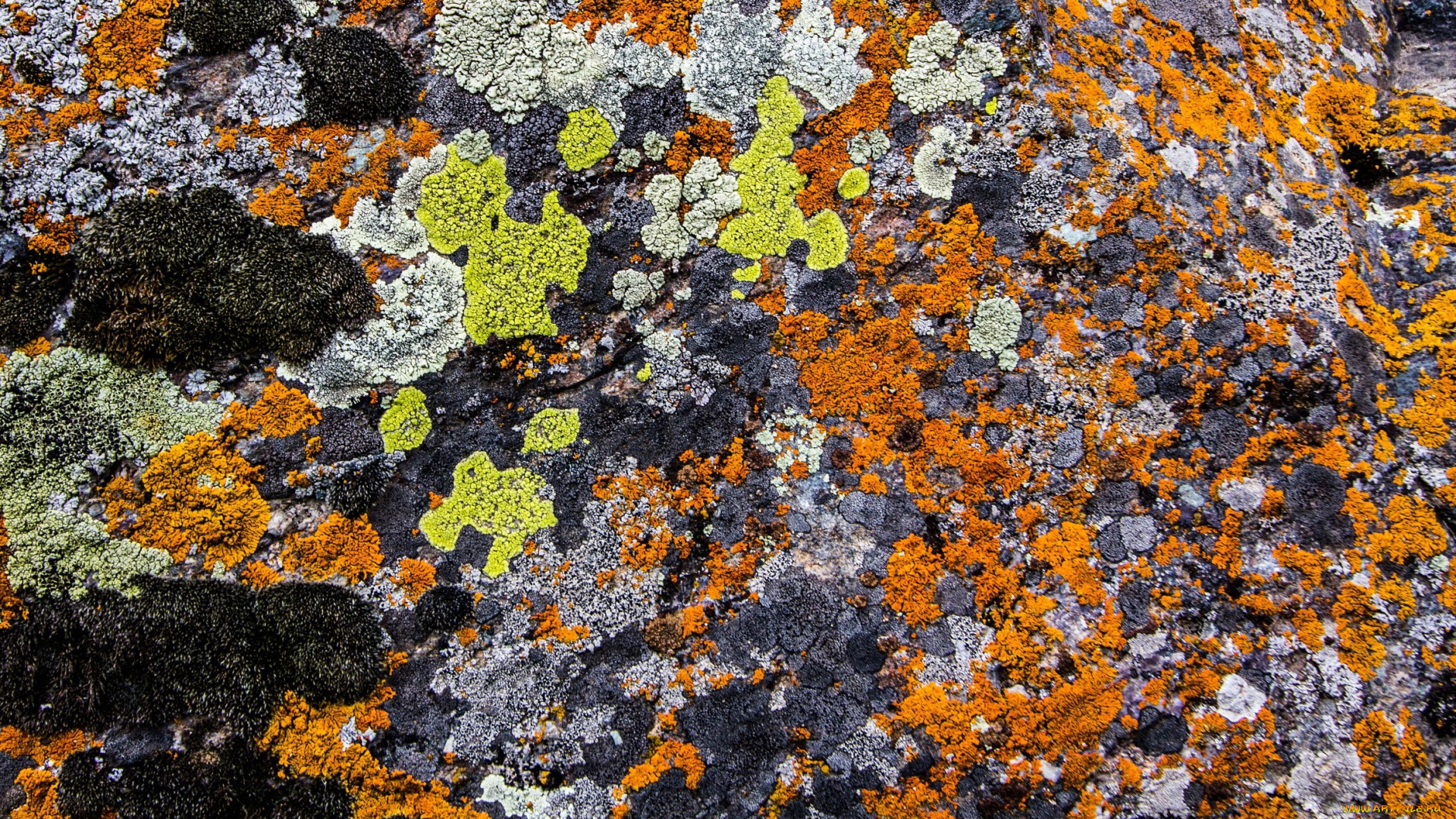 разное, текстуры, камень, цвет, глыба