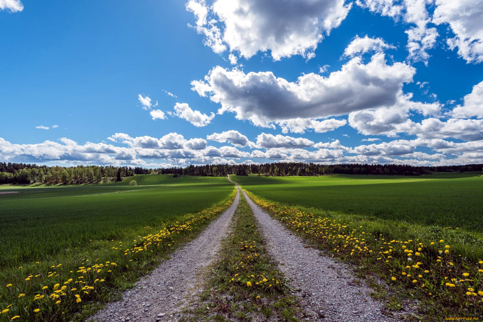 природа, дороги, дорога, проселочная