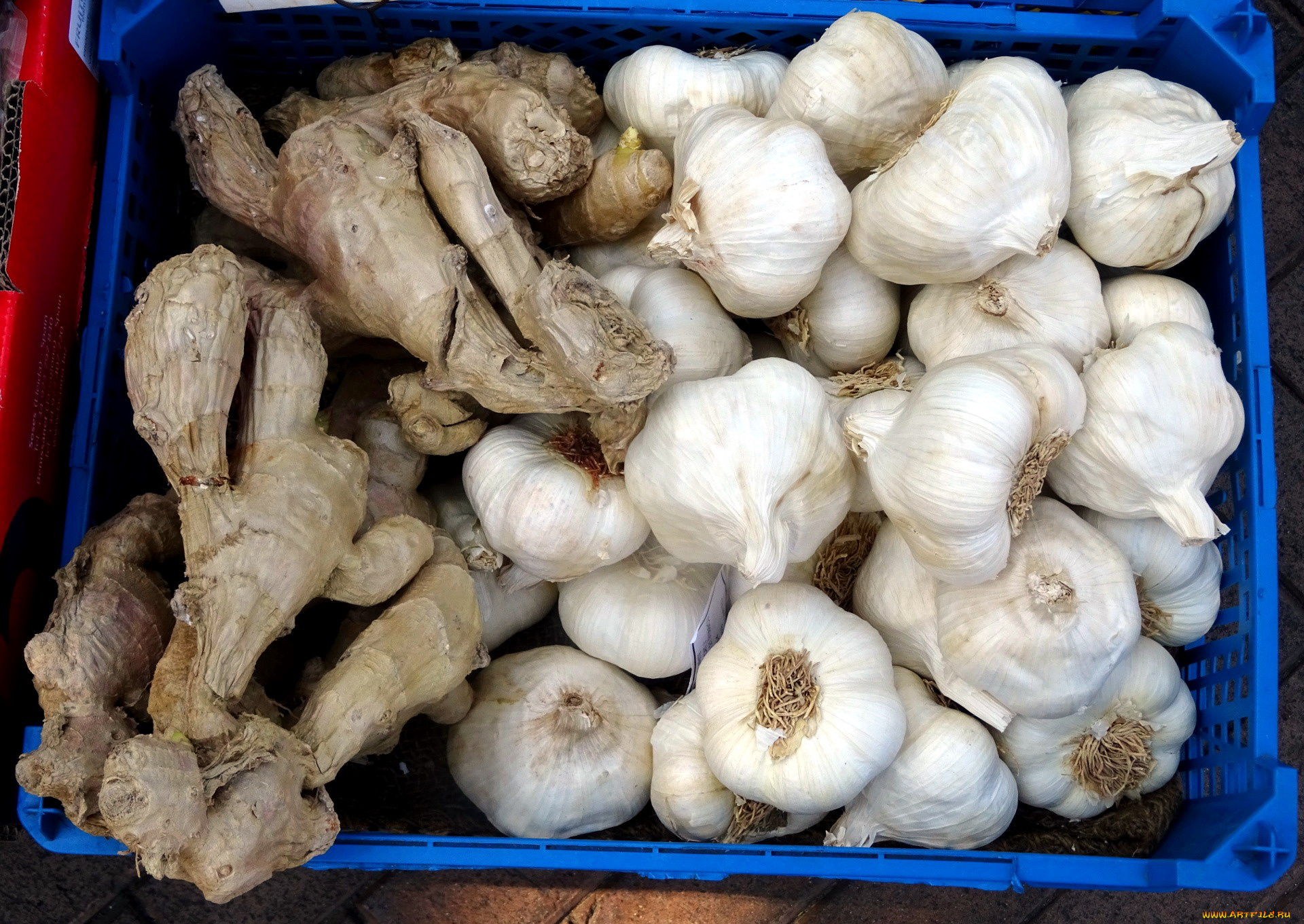 еда, овощи, чеснок