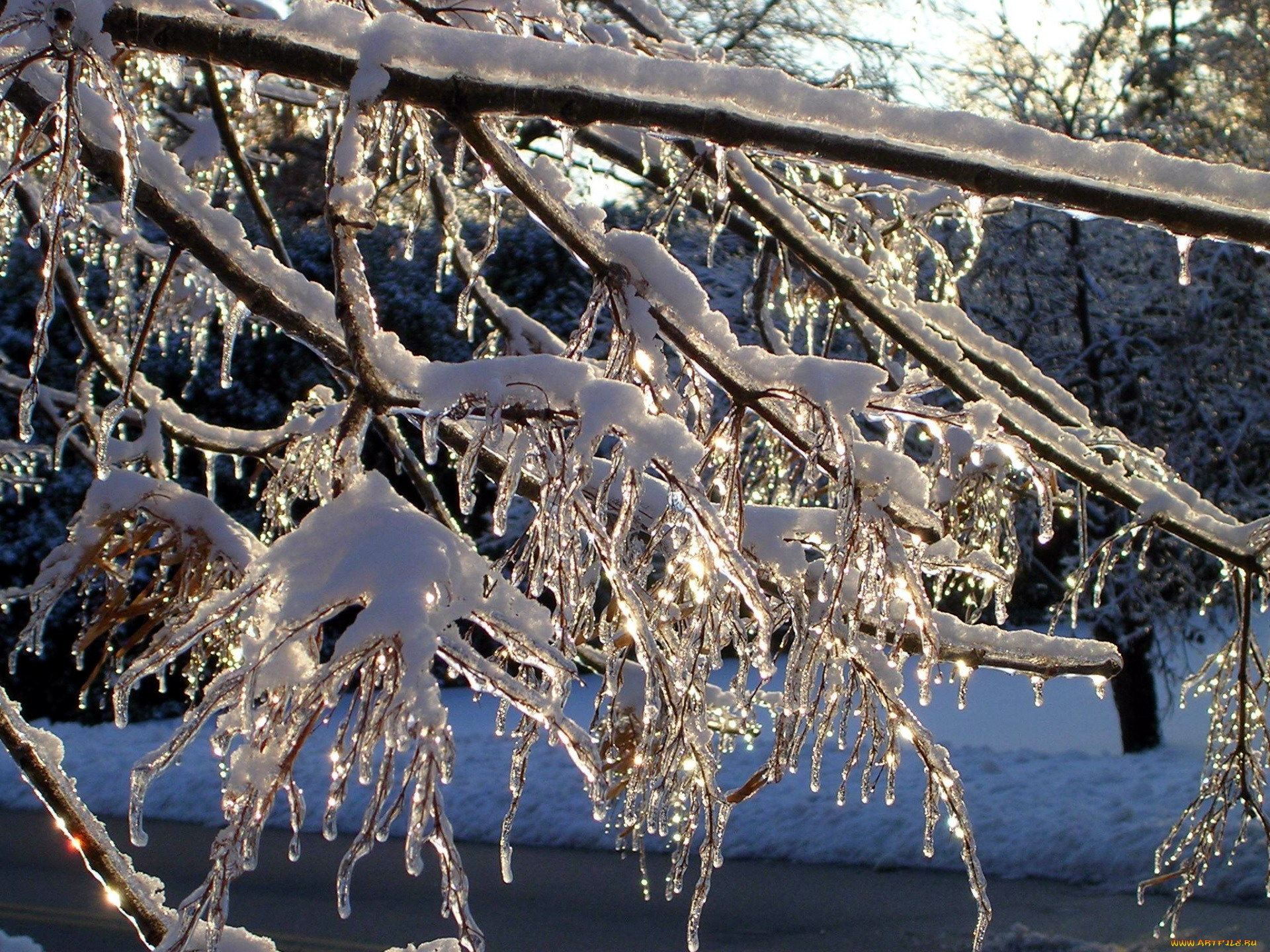 природа, зима, снег