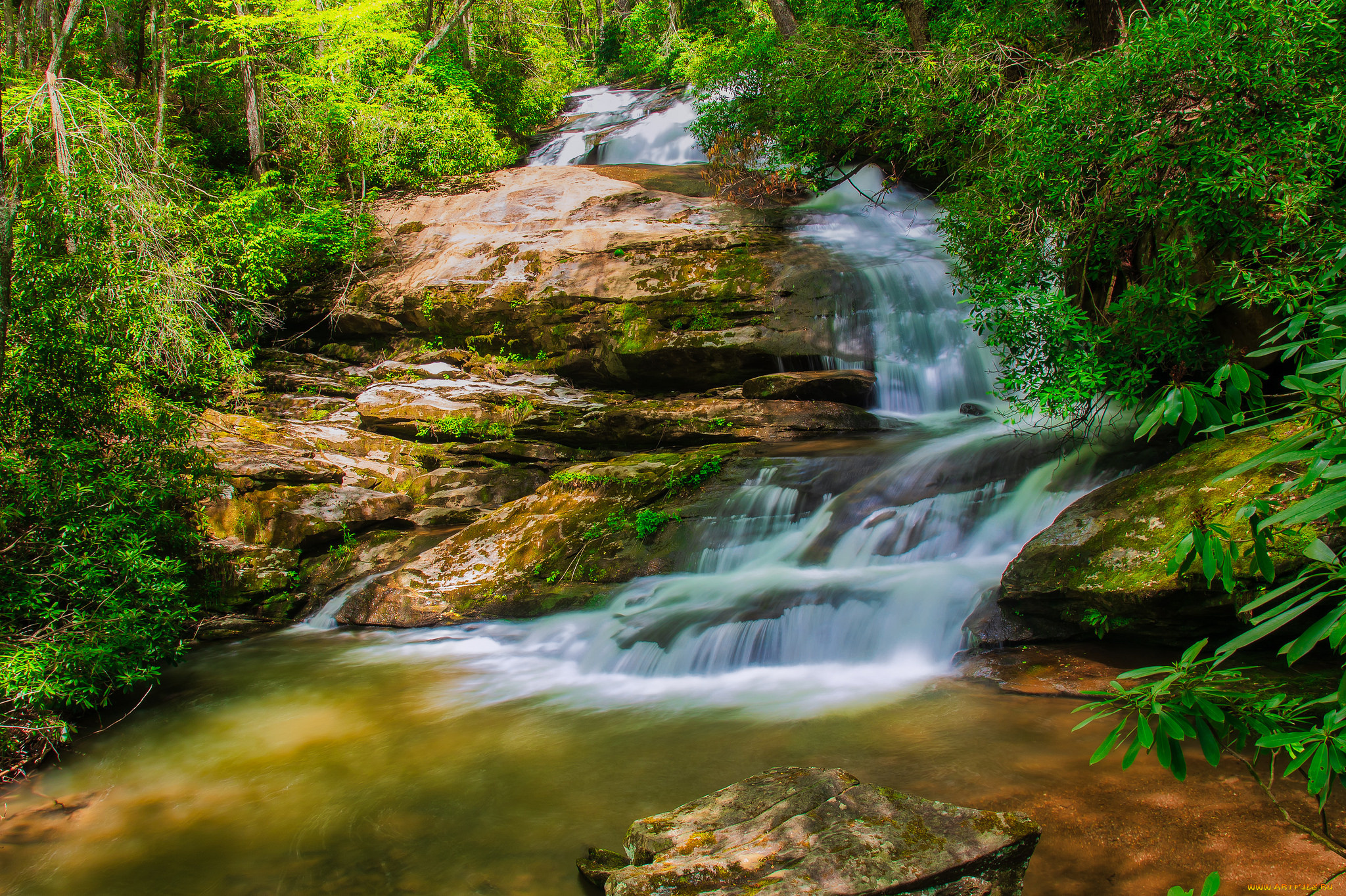 природа, реки, озера, простор