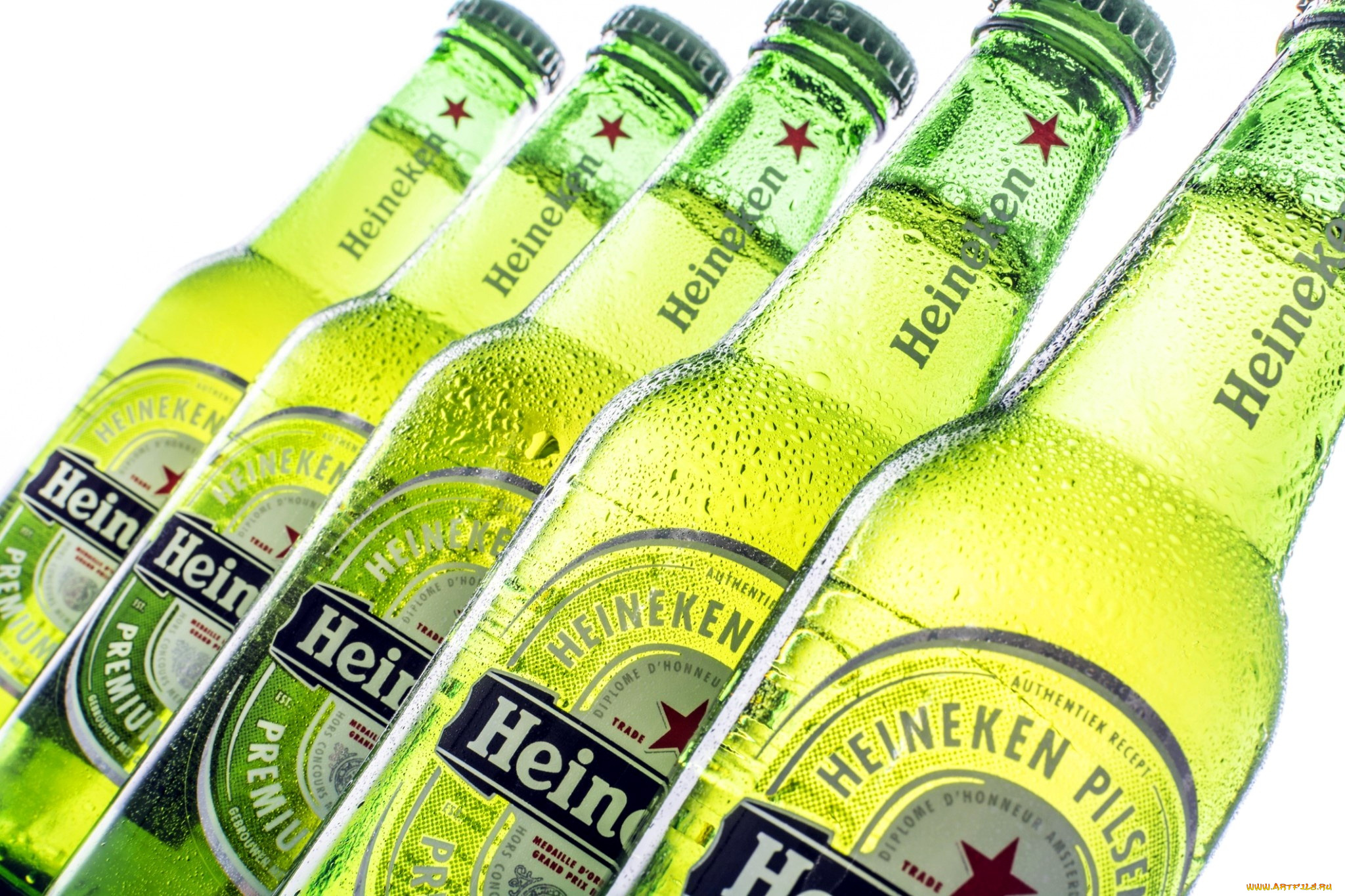бренды, heineken, пиво