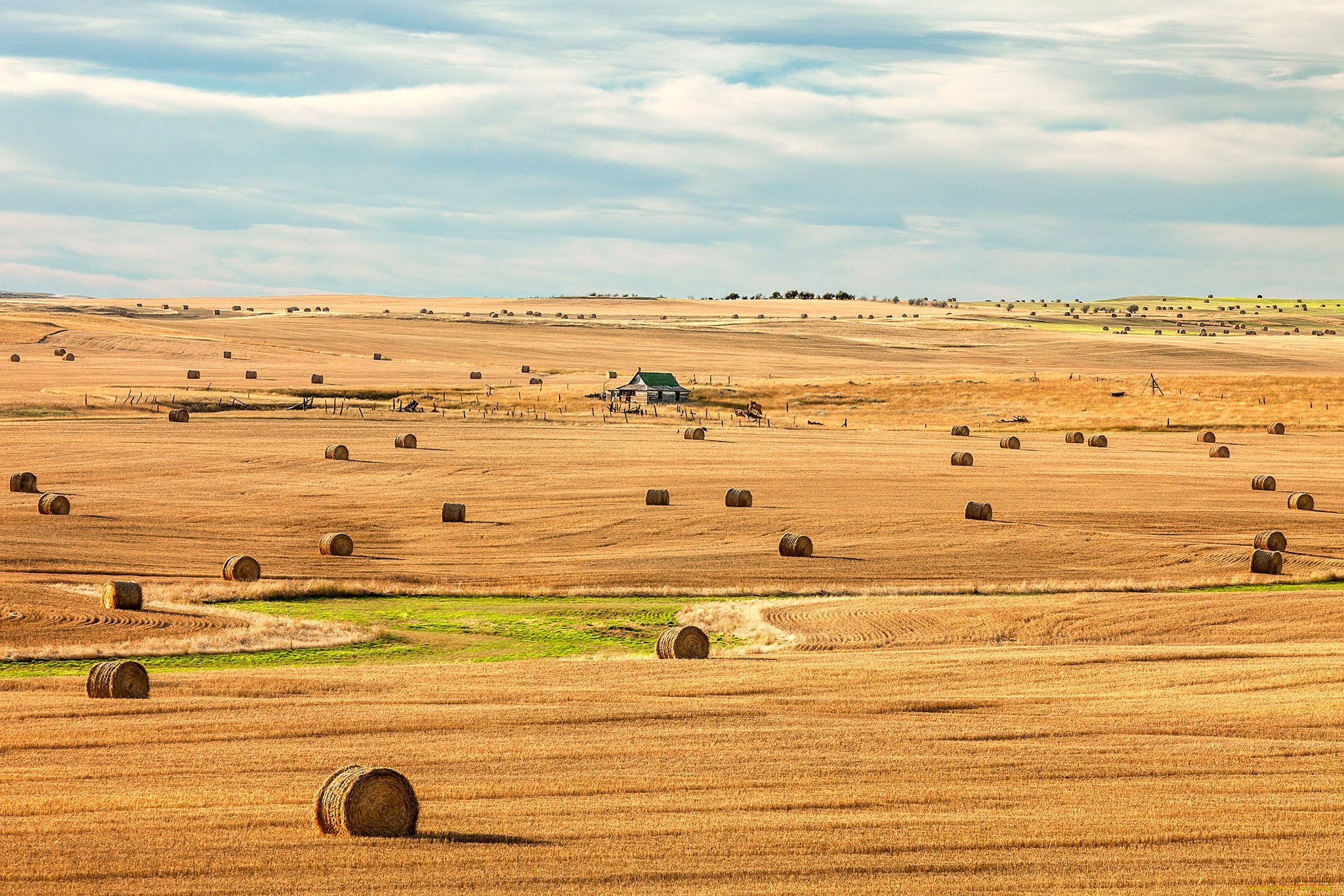 природа, поля, поле