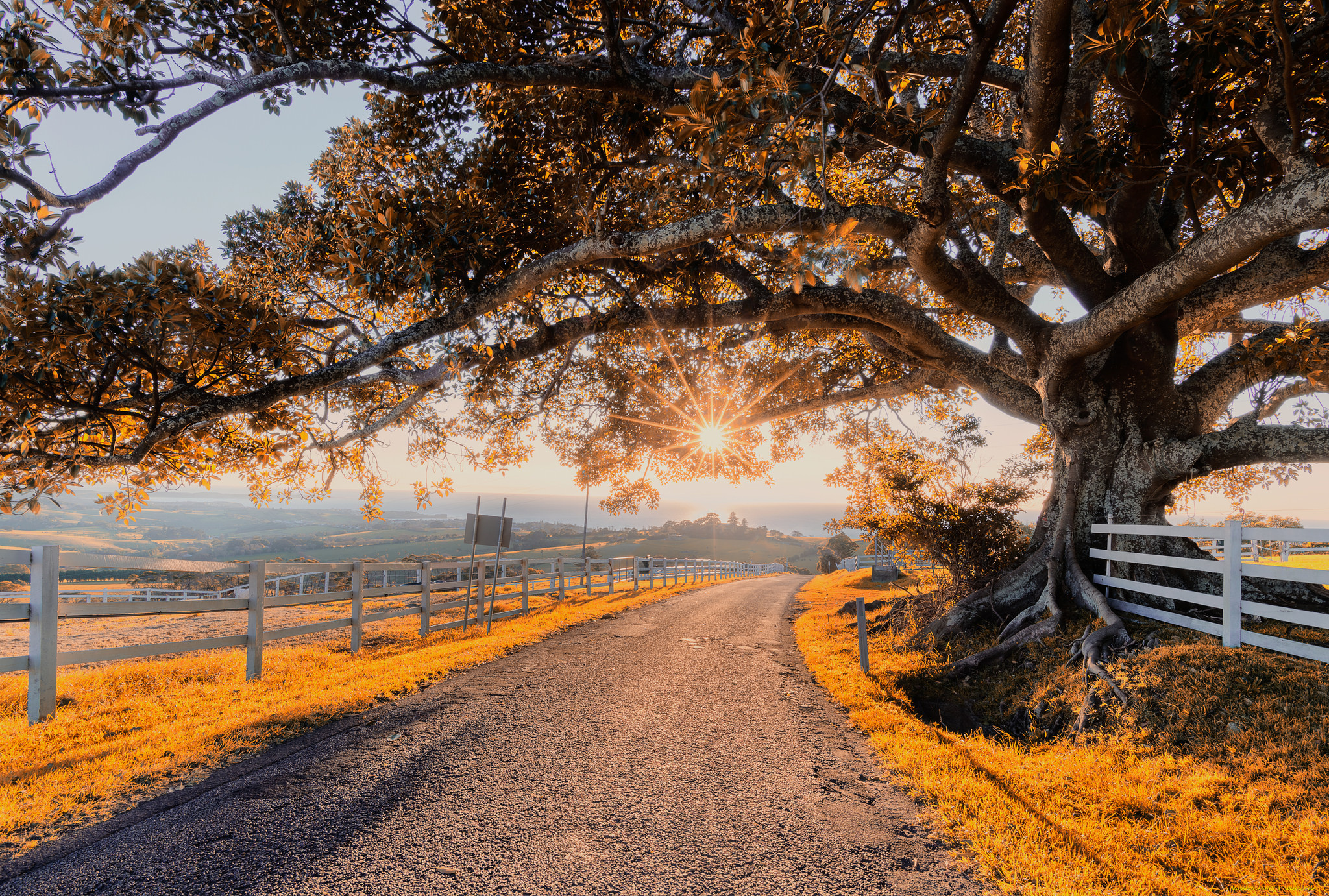 природа, дороги, простор