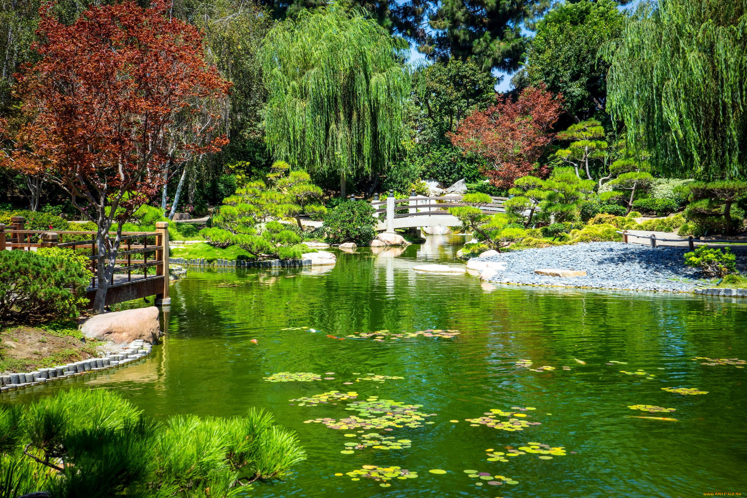 природа, парк, японский, сад