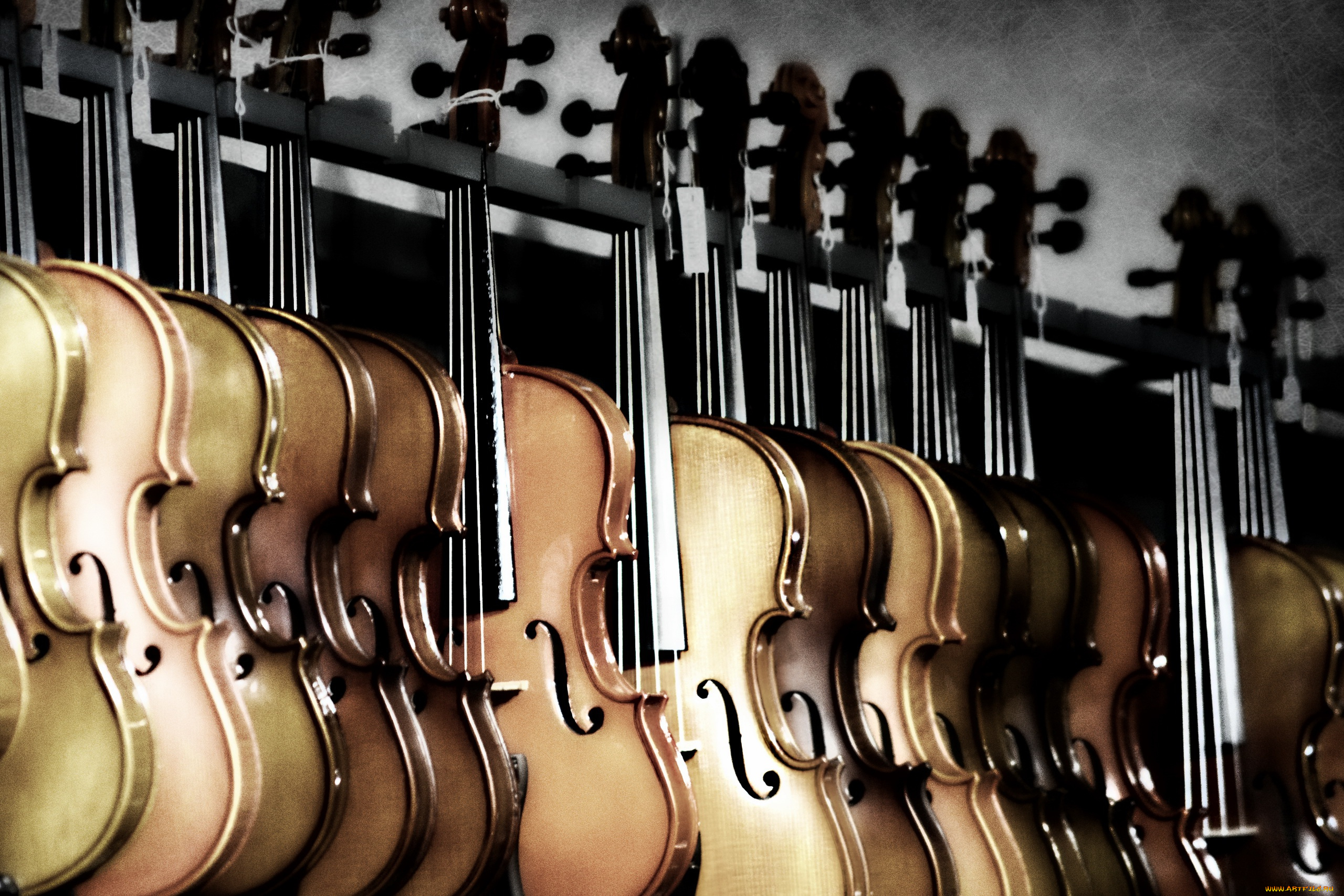 музыка, -музыкальные, инструменты, скрипка