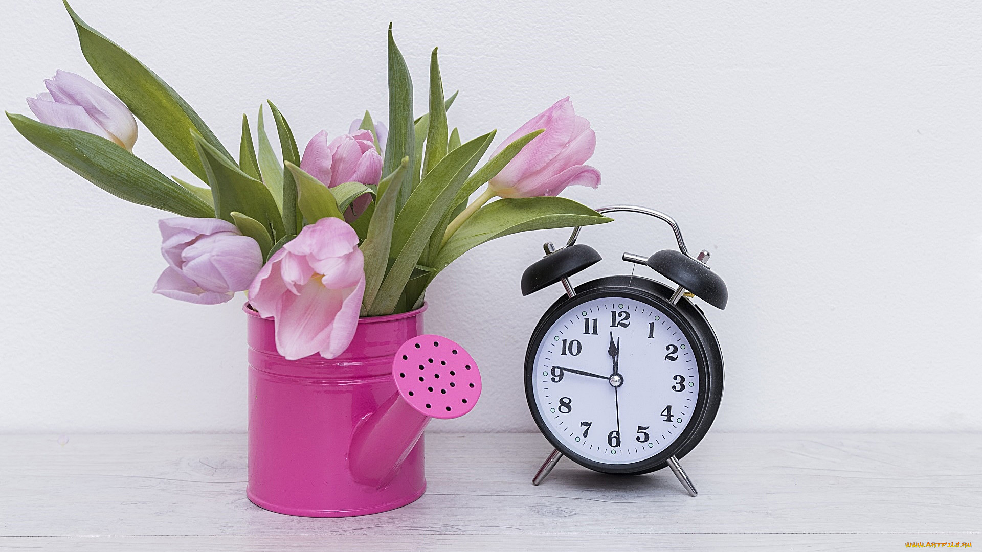 разное, часы, , часовые, механизмы, лейка, тюльпаны, бутоны, будильник
