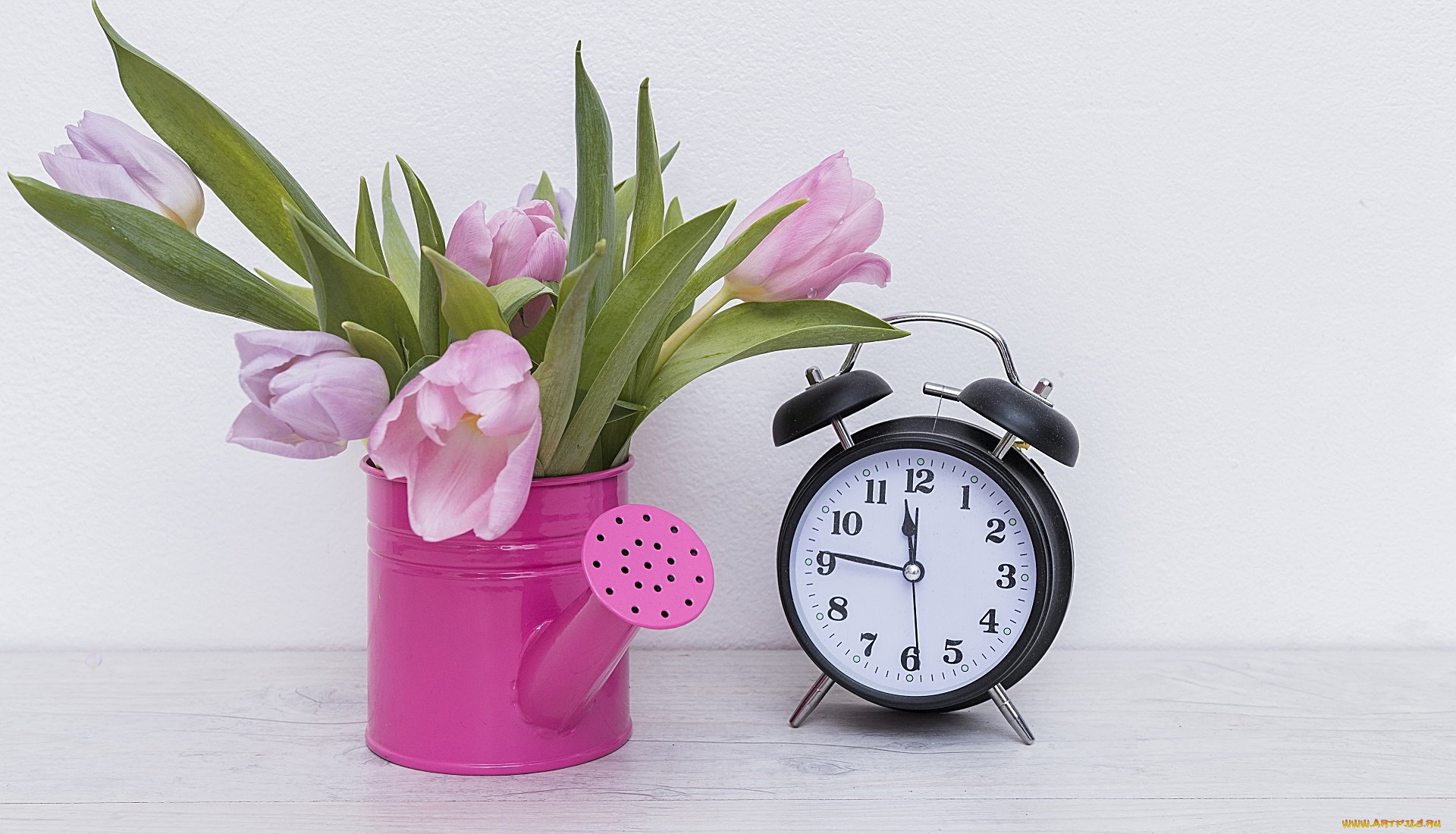 разное, часы, , часовые, механизмы, лейка, тюльпаны, бутоны, будильник
