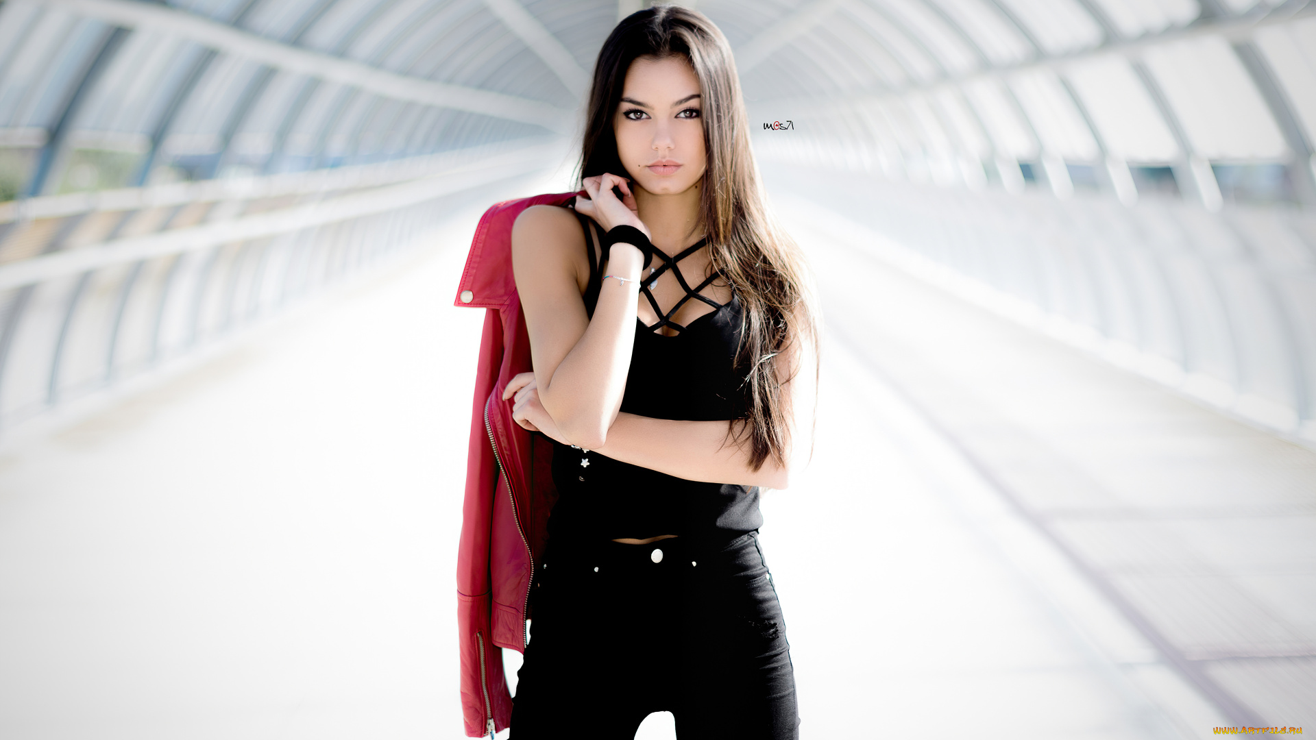 девушки, -, брюнетки, , шатенки, nicole, ceretta, брюнетка, модель, инстаграм