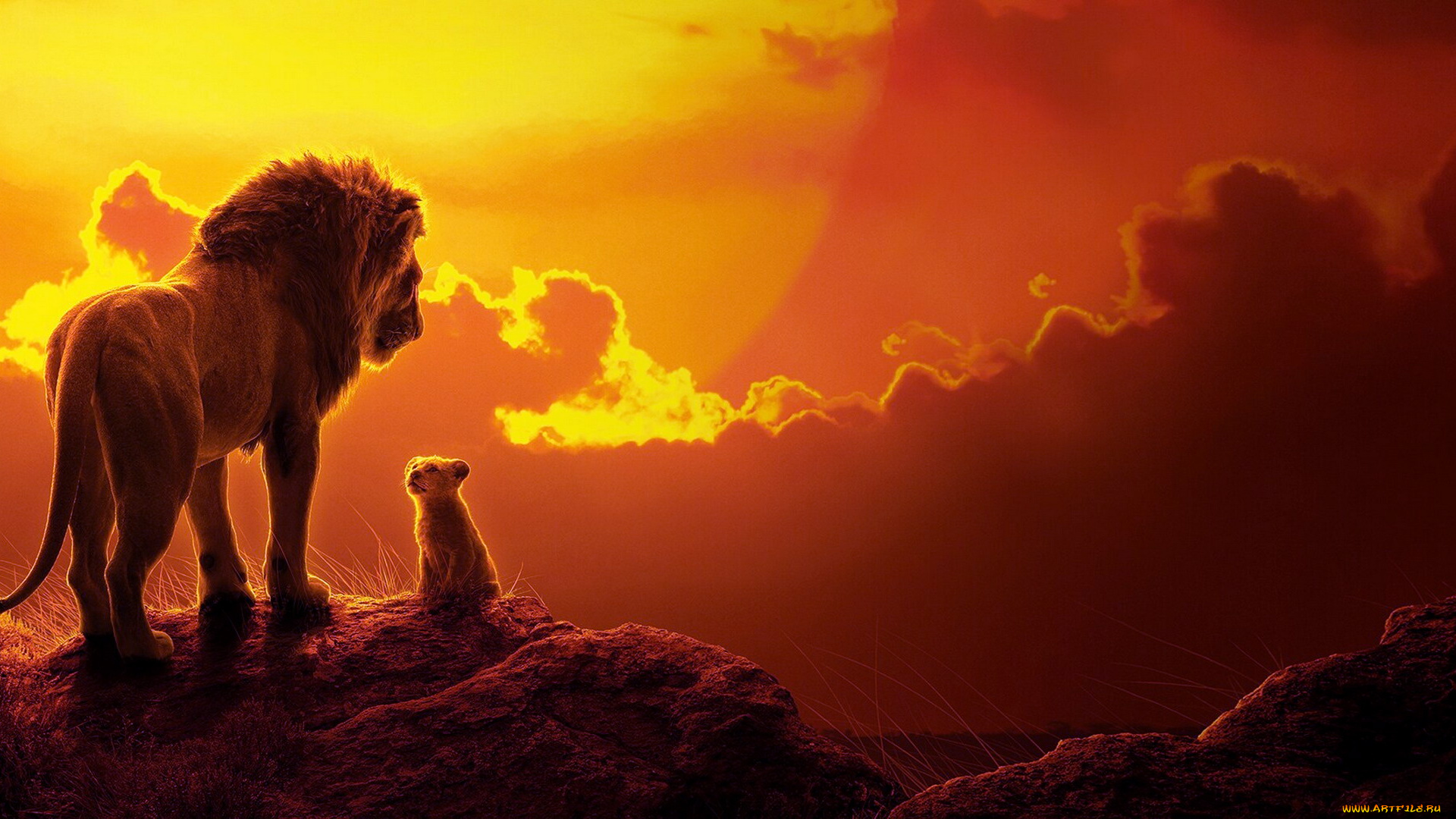 кино, фильмы, the, lion, king, , 2019, лев, львенок, разговор, закат