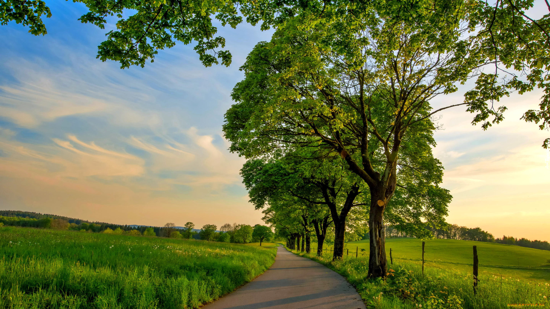 природа, дороги, шоссе