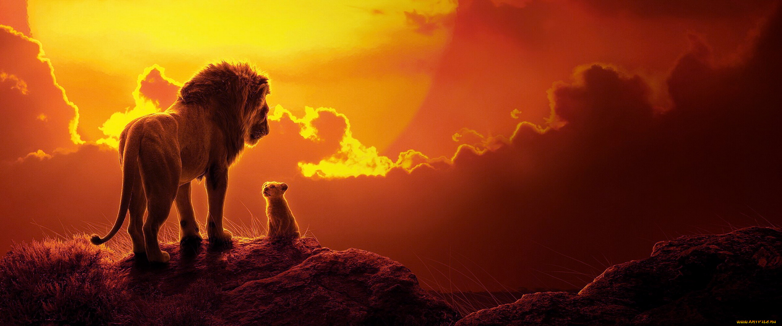 кино, фильмы, the, lion, king, , 2019, лев, львенок, разговор, закат