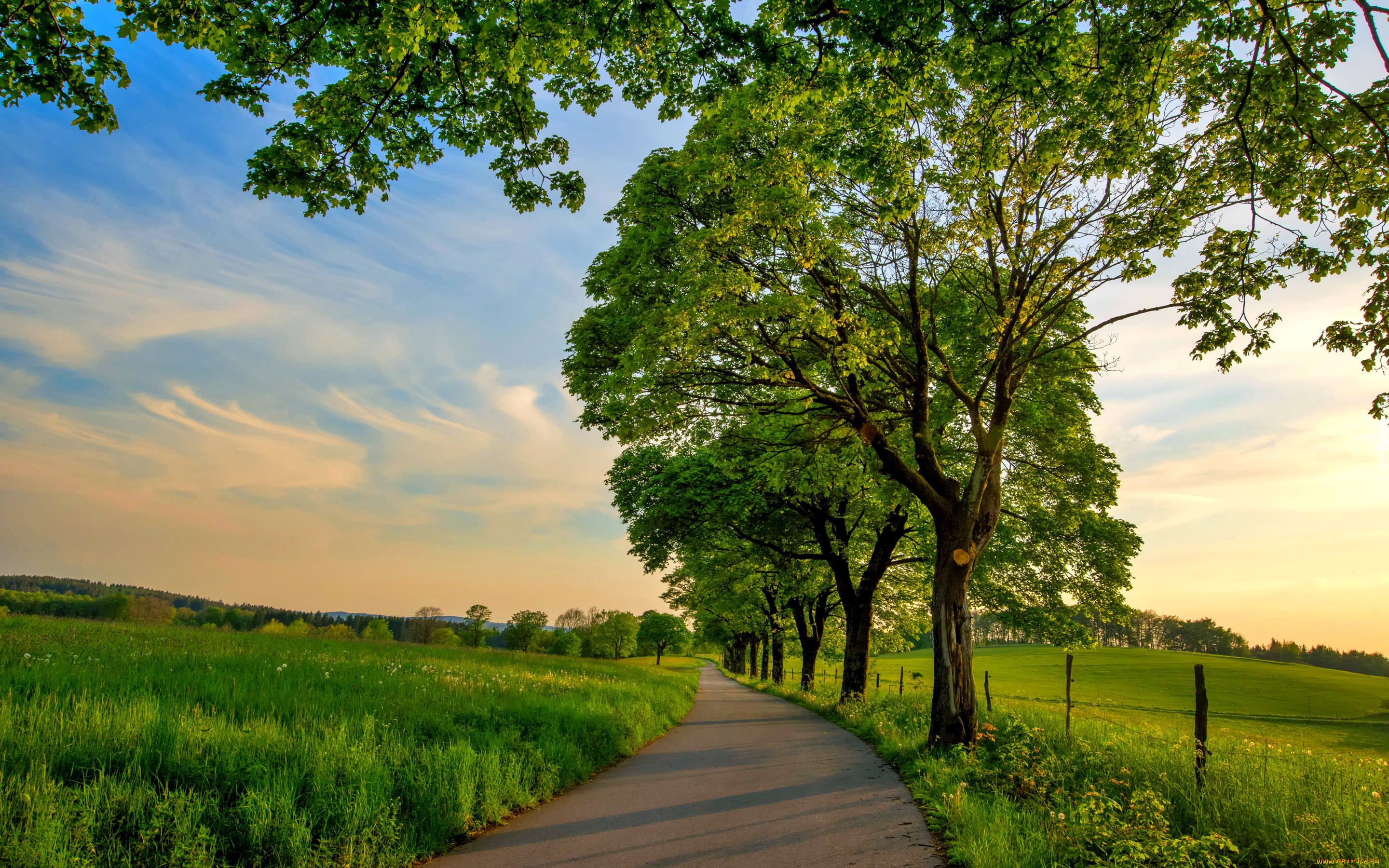 природа, дороги, шоссе