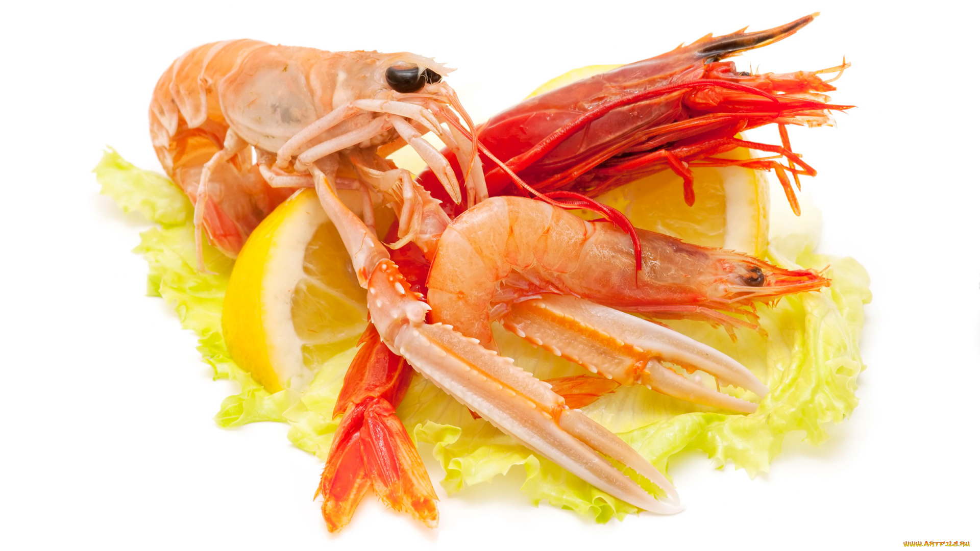 еда, рыбные, блюда, , с, морепродуктами, лимон, креветки