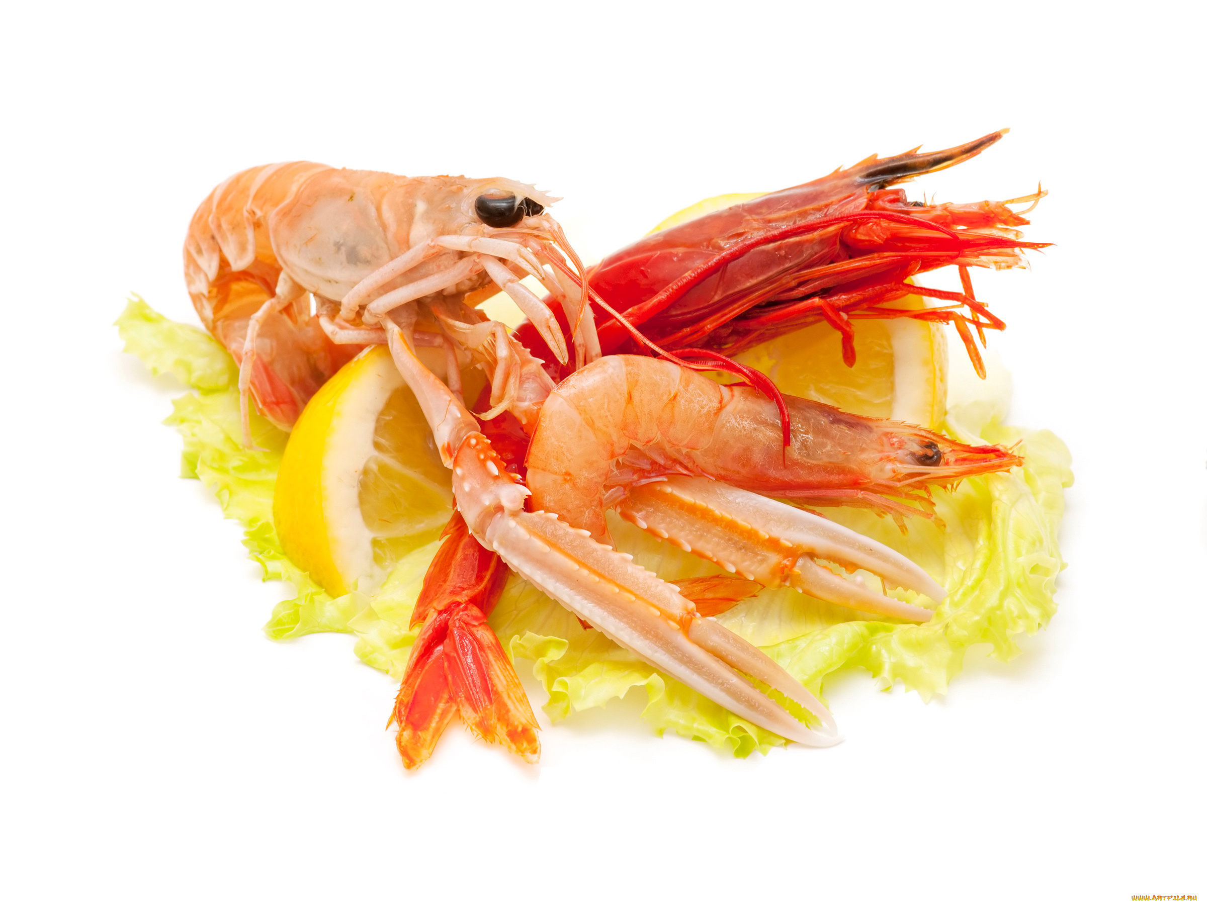 еда, рыбные, блюда, , с, морепродуктами, лимон, креветки