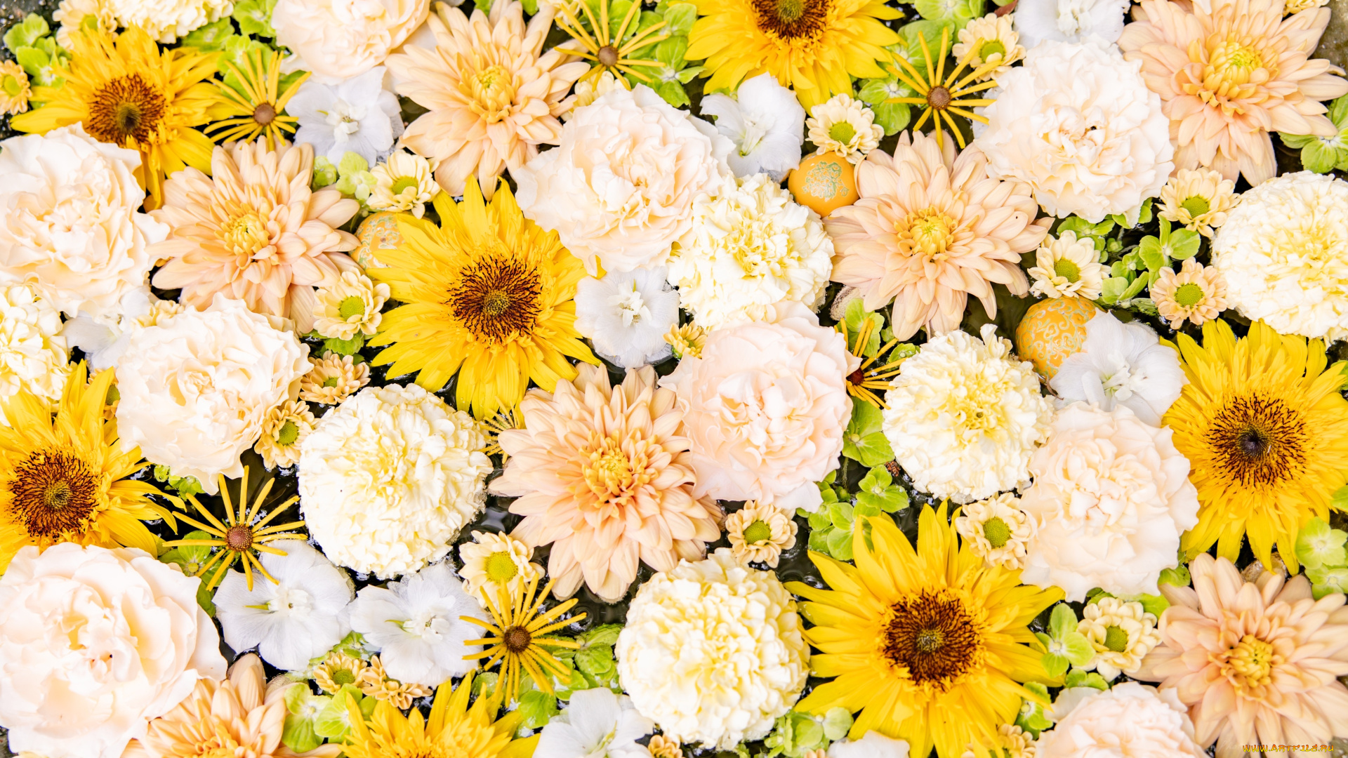 цветы, разные, вместе