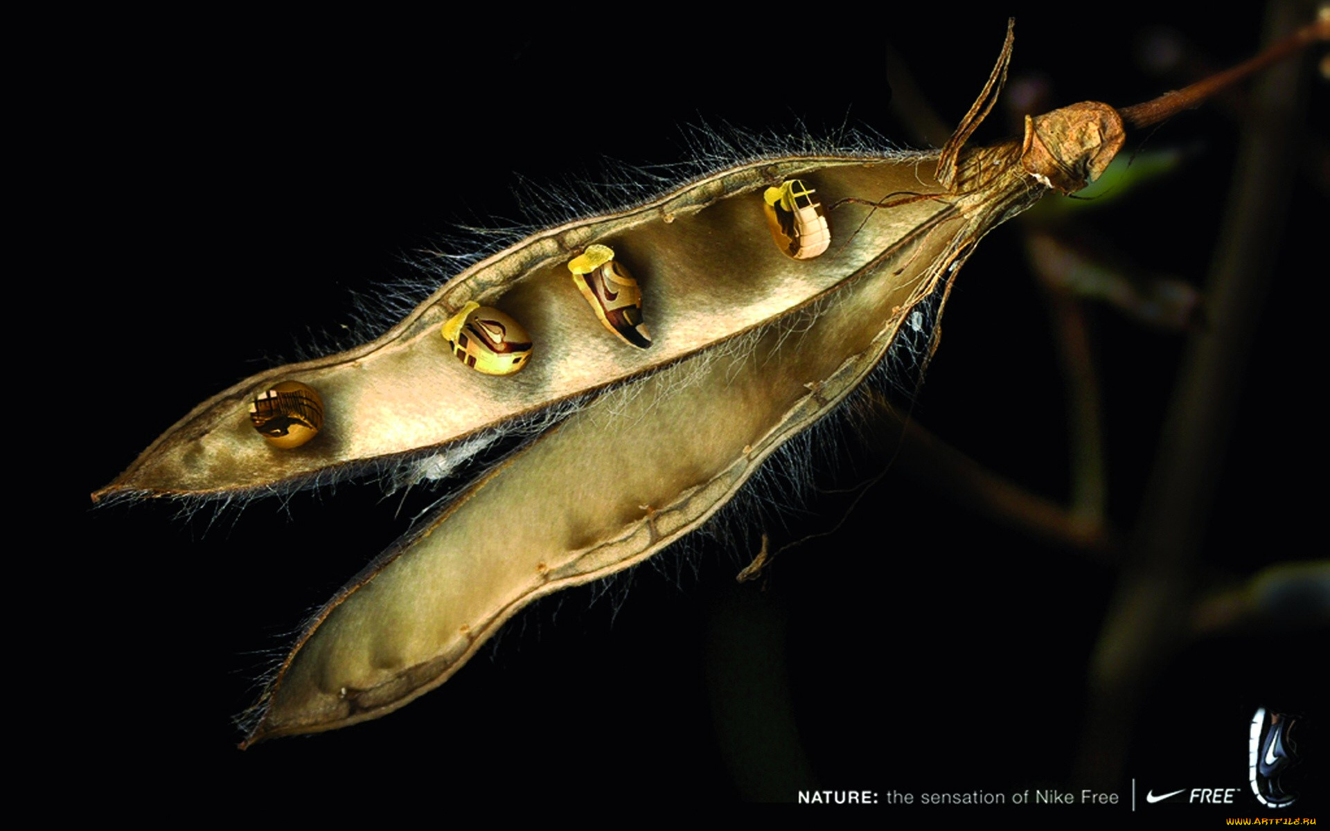 бренды, nike, стручок, кроссовки