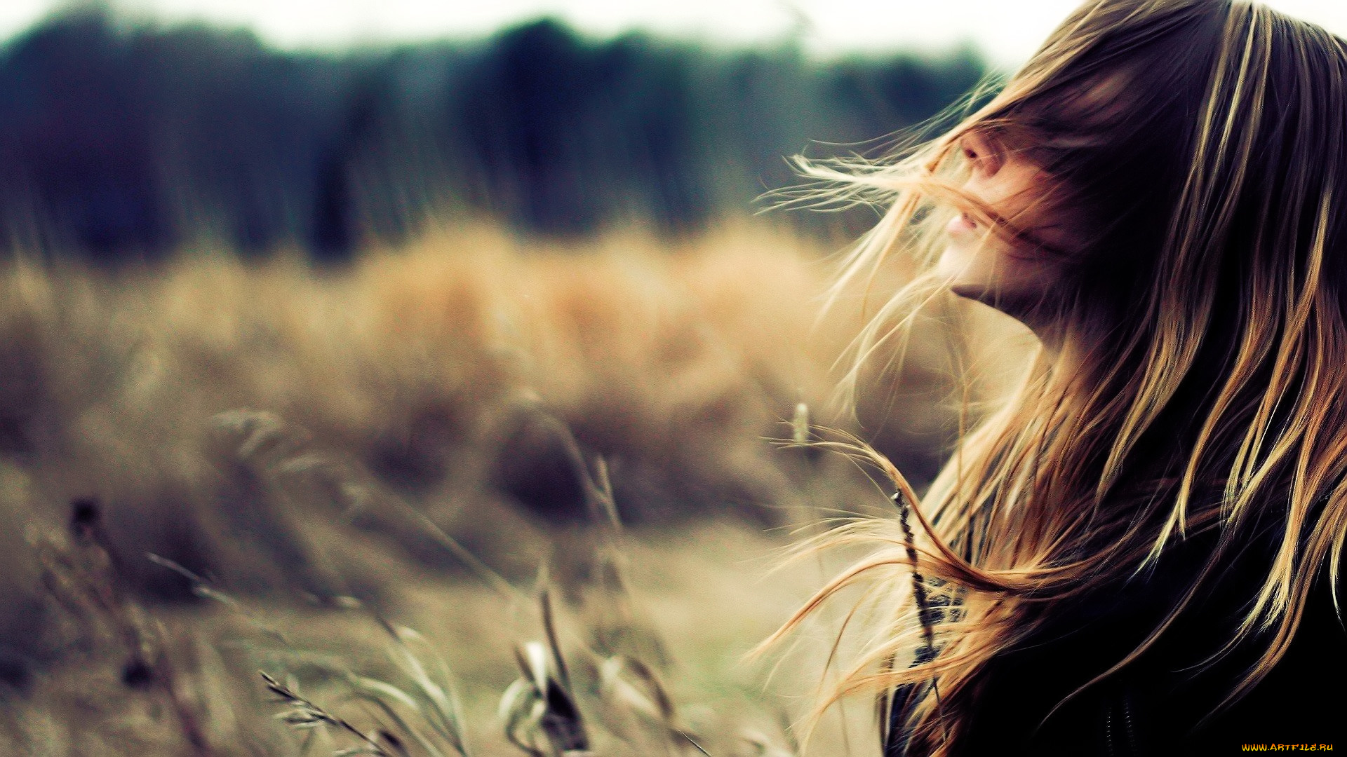 девушки, -, лица, , портреты, блондинка, поле