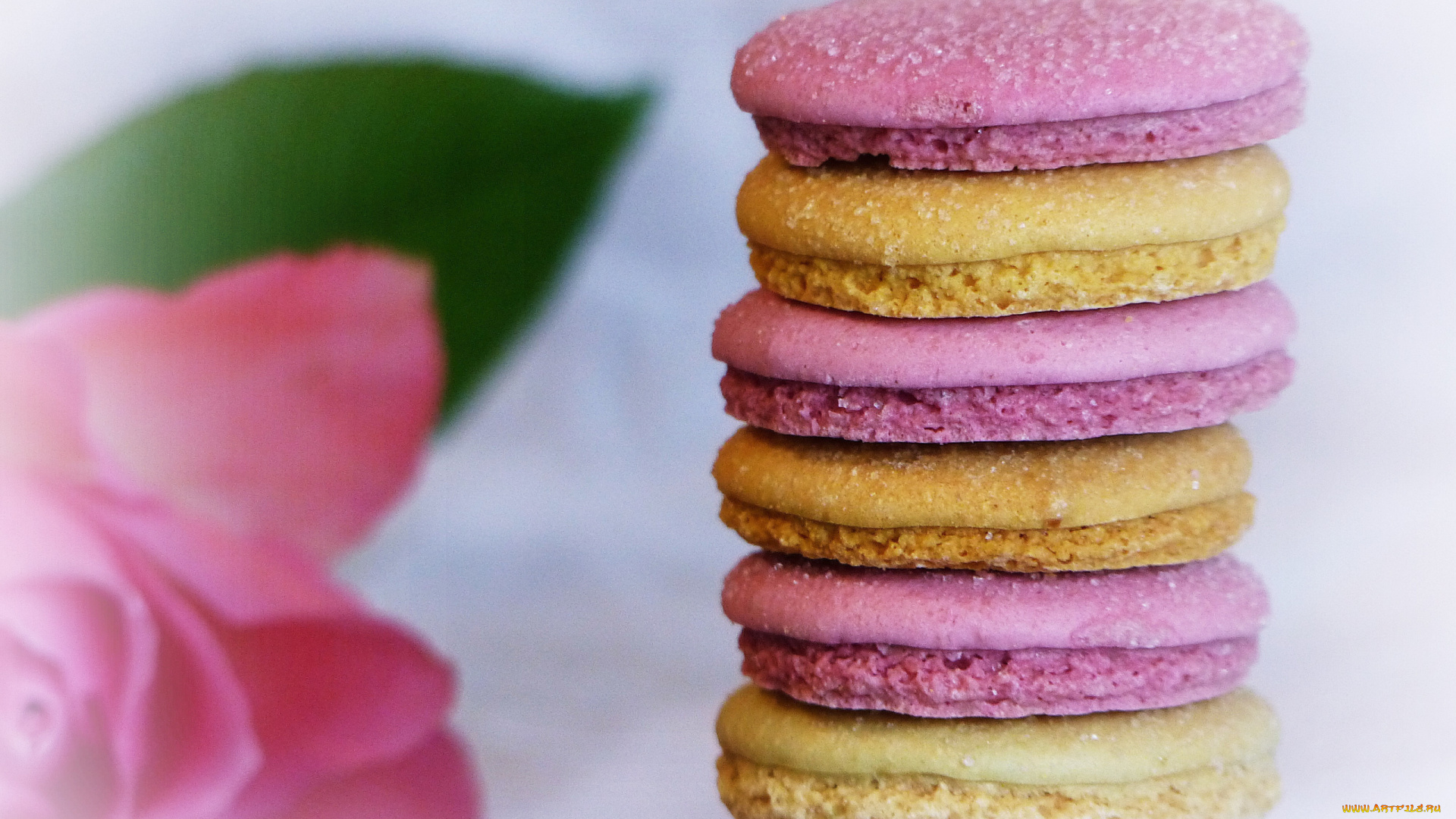 еда, макаруны, лакомство, печенье, ассорти