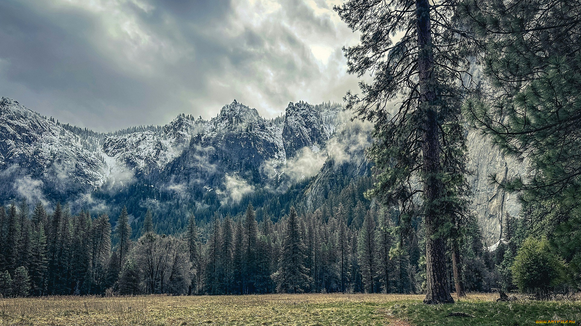 природа, горы, облака, лес, поляна