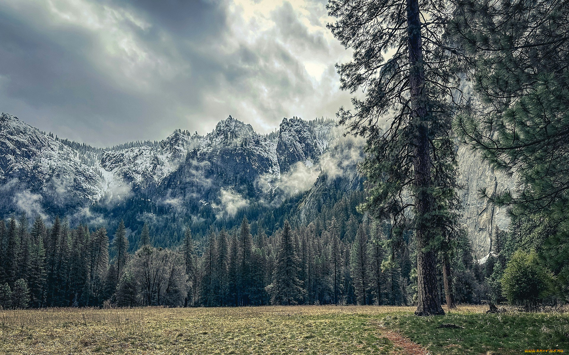 природа, горы, облака, лес, поляна