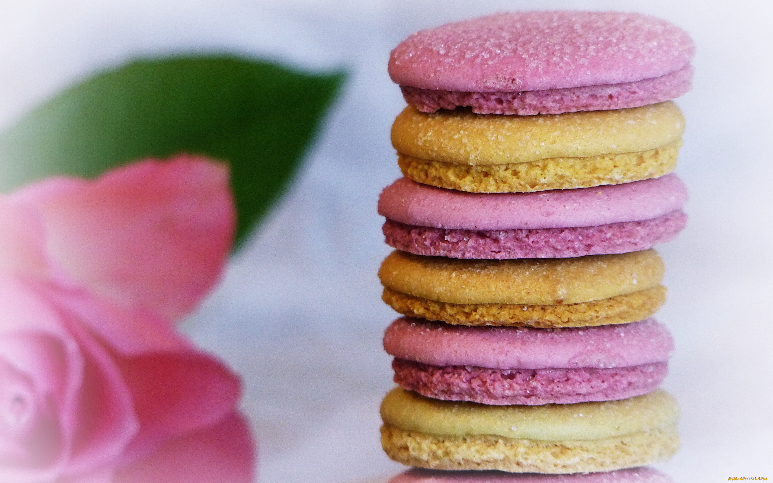 еда, макаруны, лакомство, печенье, ассорти