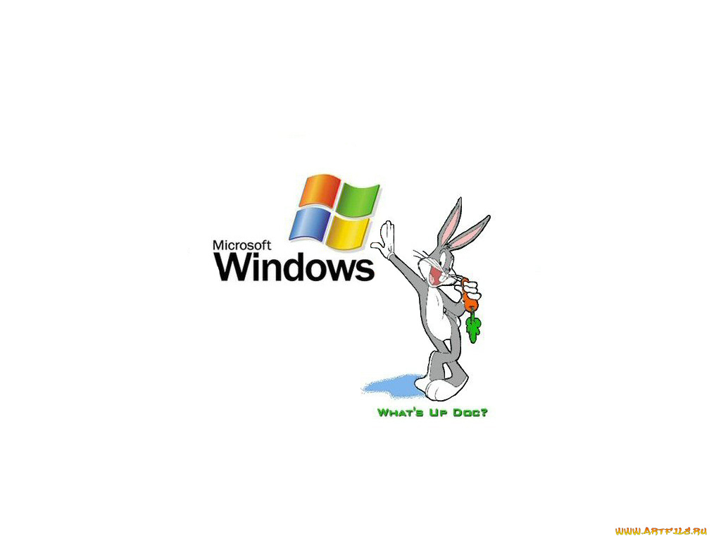 компьютеры, windows, xp