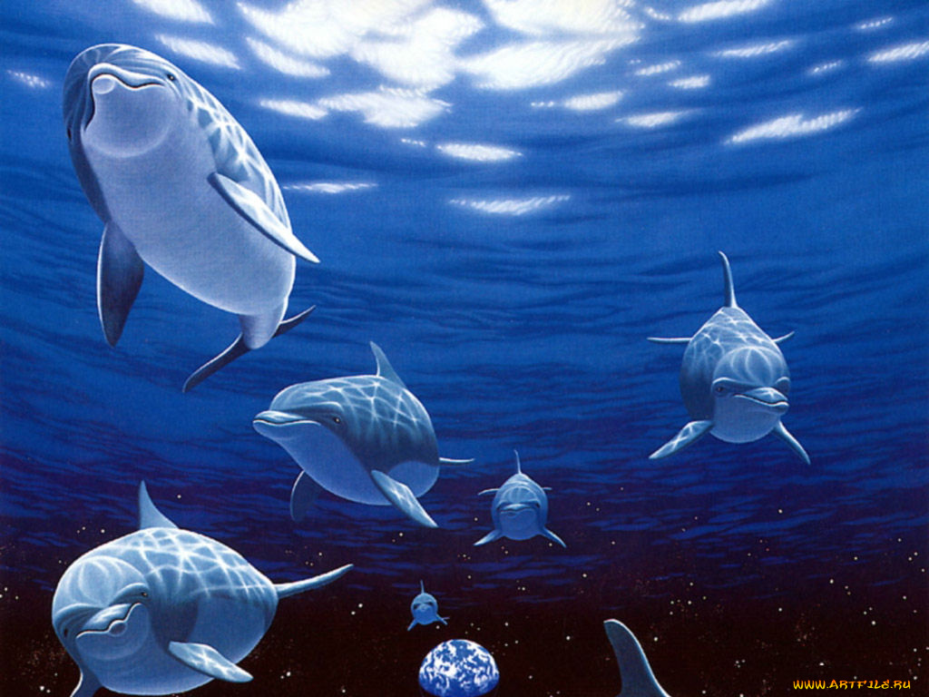 рисованные, животные, дельфины