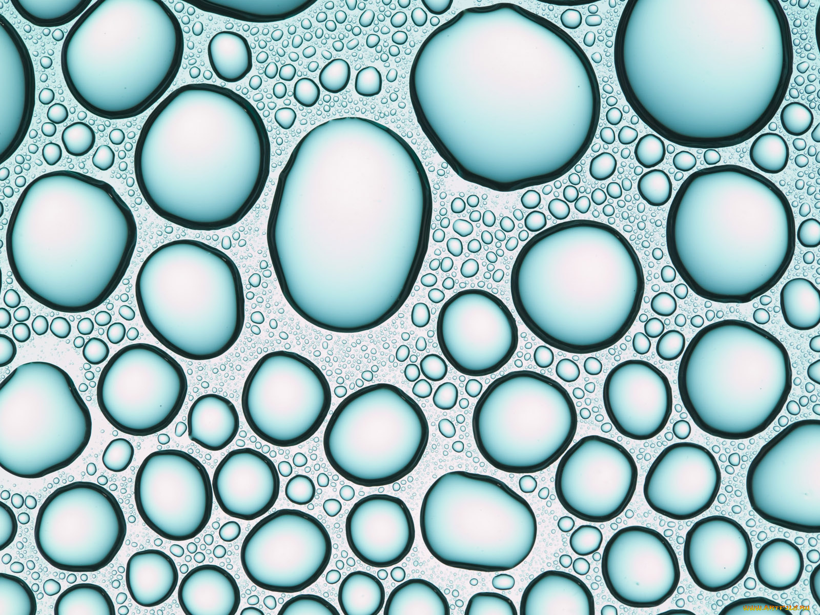 разное, капли, брызги, всплески