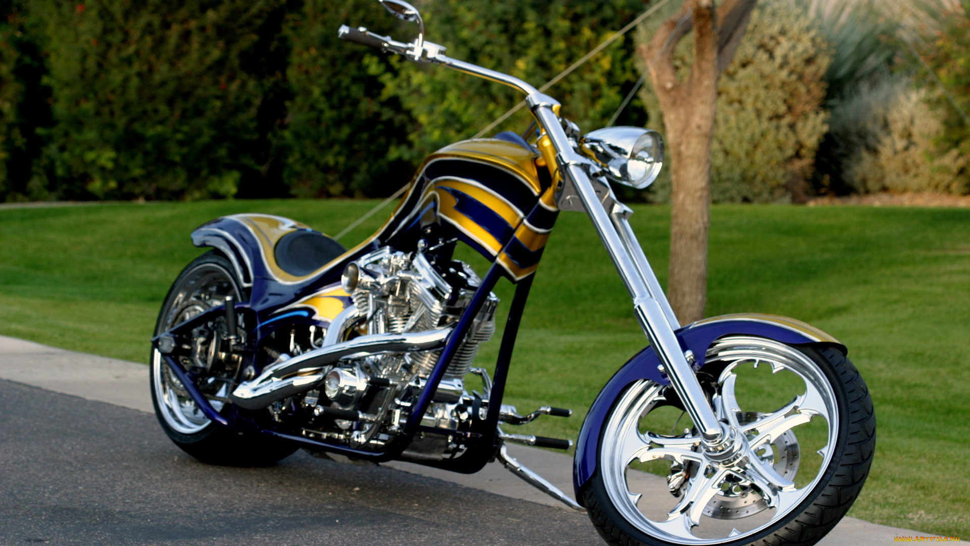 мотоциклы, customs