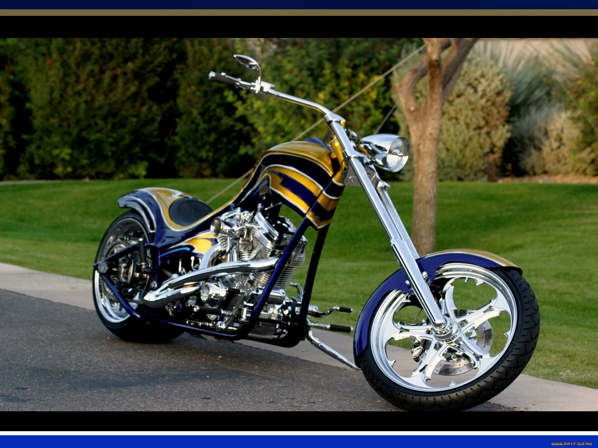 мотоциклы, customs