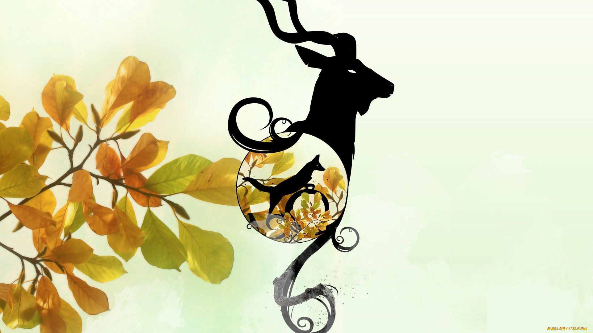 векторная, графика