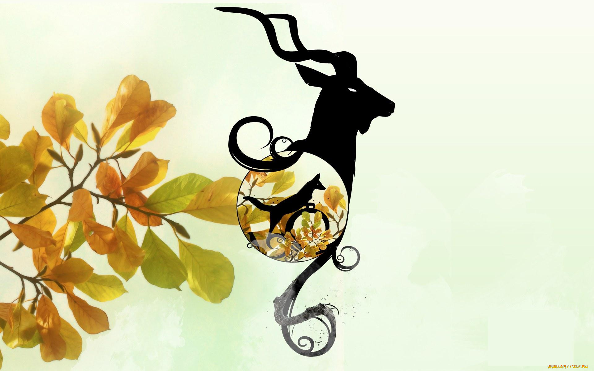 векторная, графика