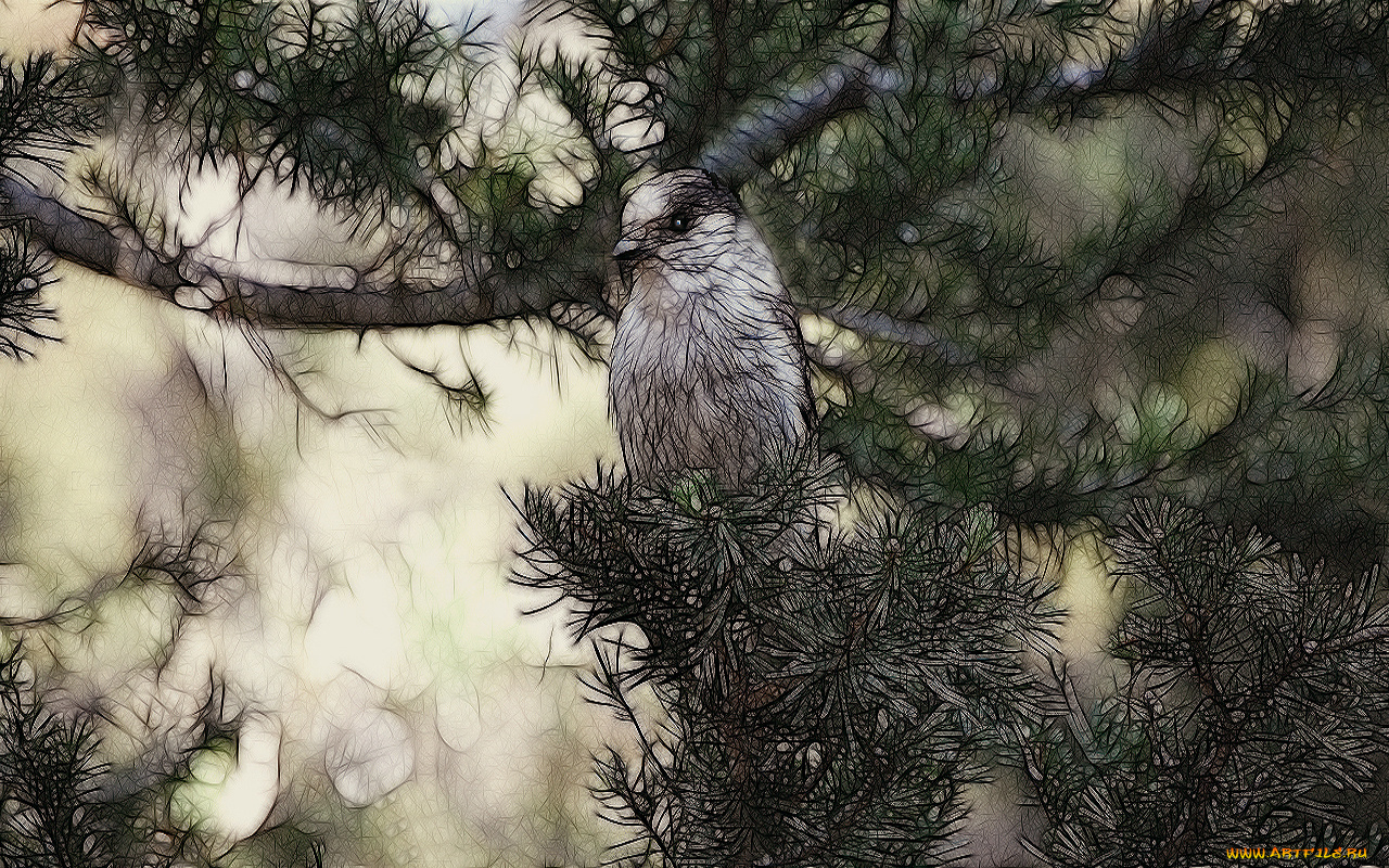 3д, графика, animals, животные