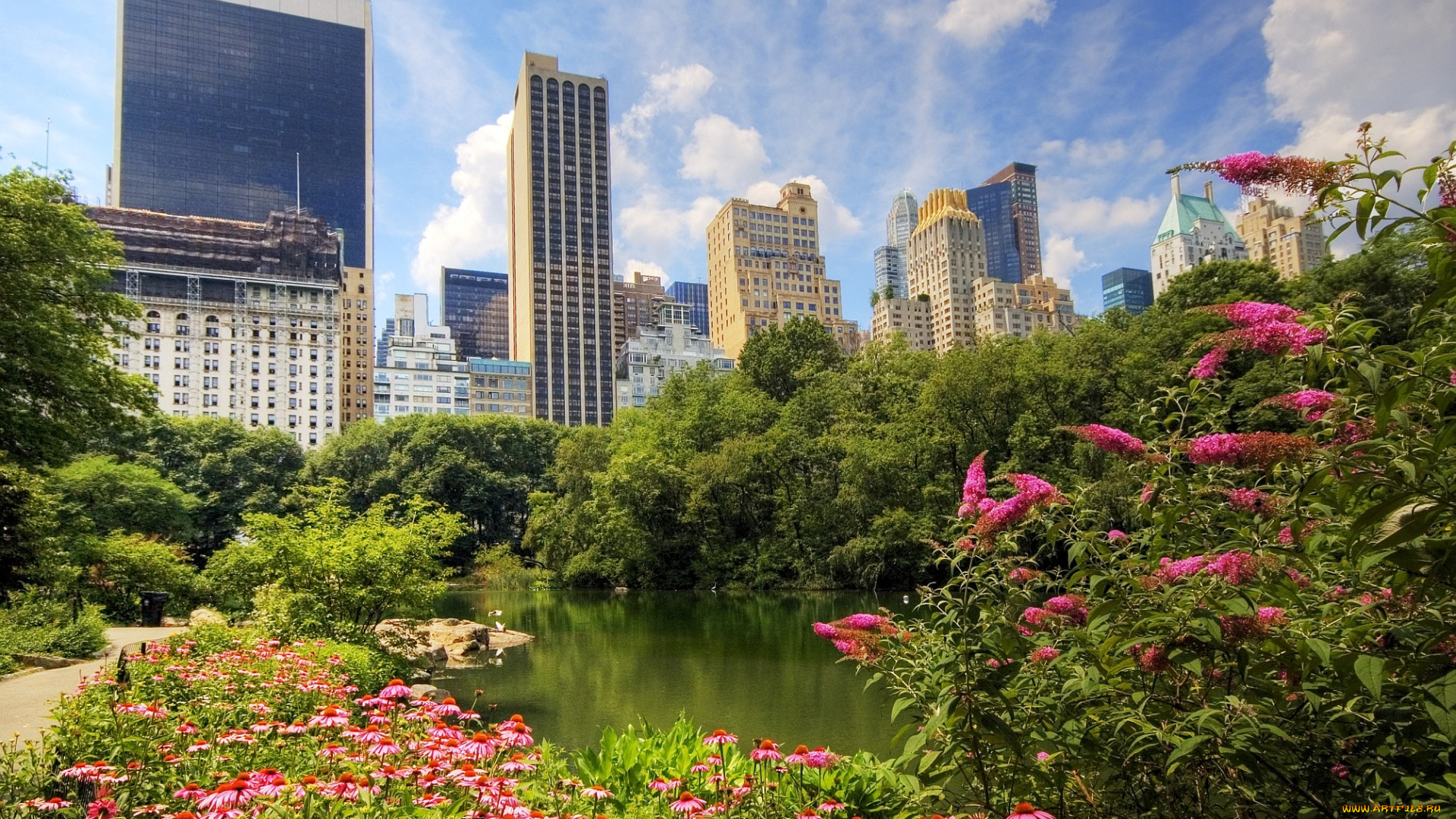 манхэттен, нью, йорк, сша, города, парк, пруд, цветы, небоскребы