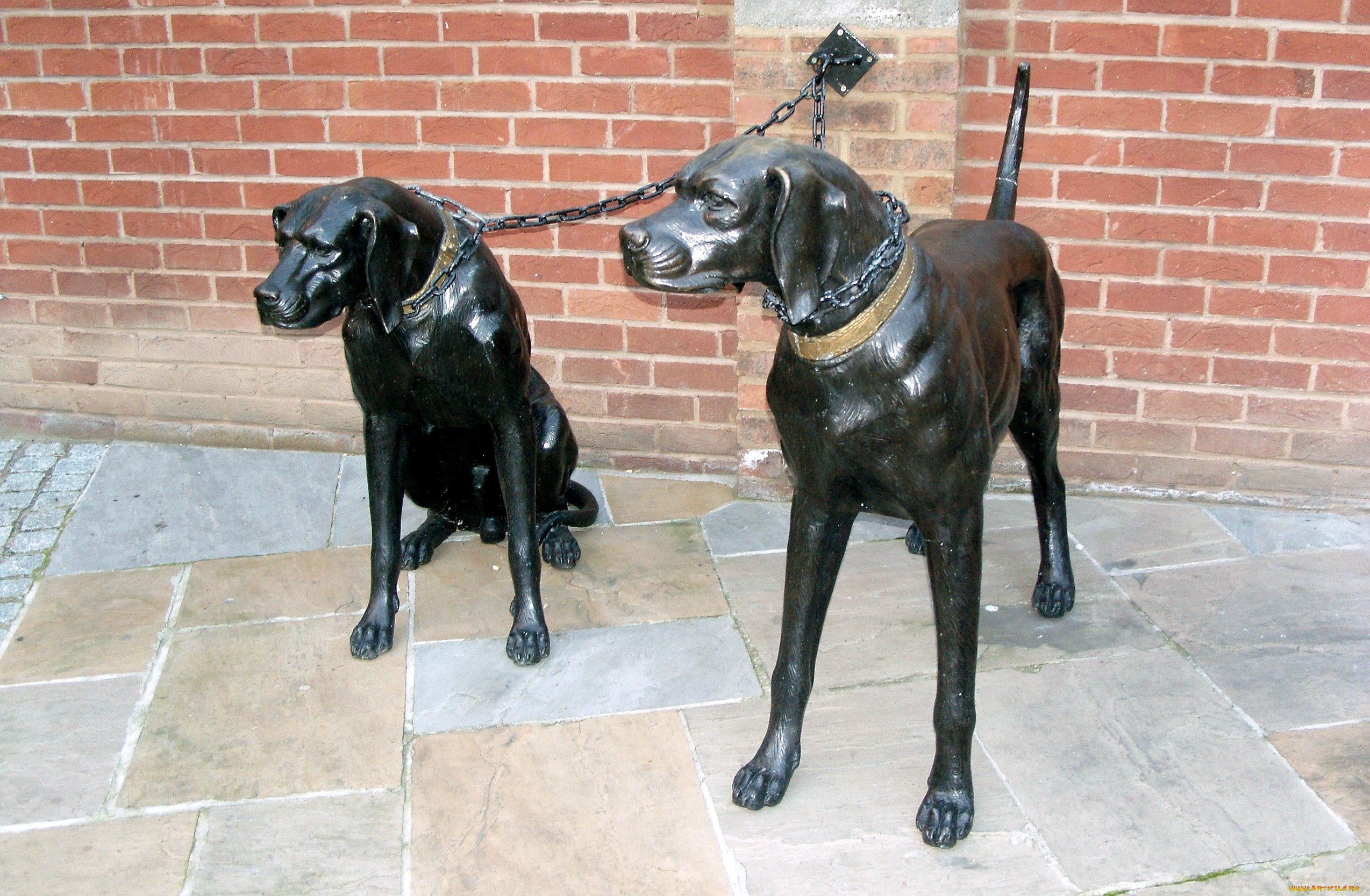 города, памятники, скульптуры, арт, объекты, бронзовый, стена, собаки, привязь