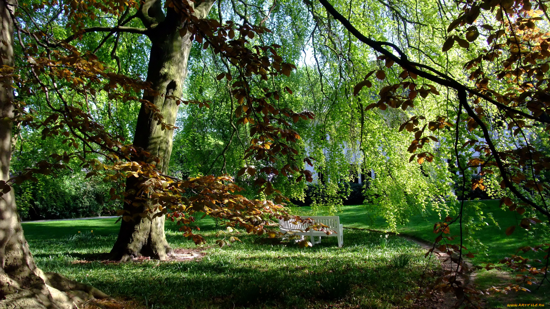 германия, гамбург, парк, штадт, природа